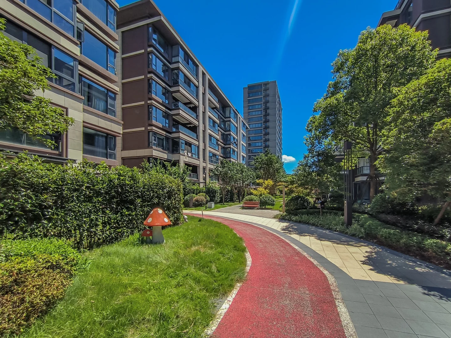 Star Future  - Photo 5