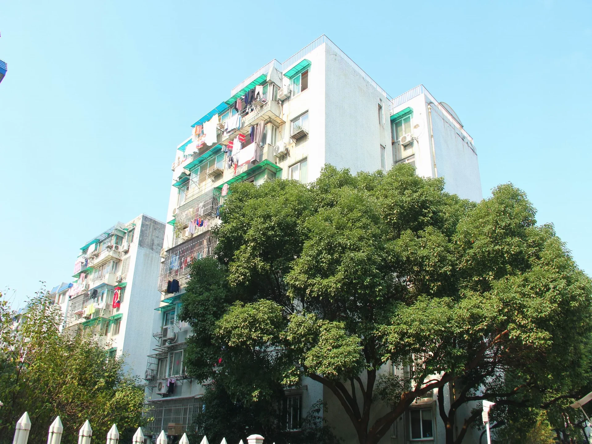 Nandu Garden - Photo 32