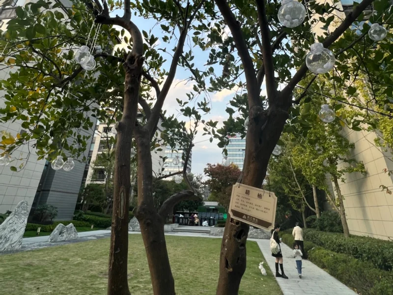 合景映月台 - Photo 10