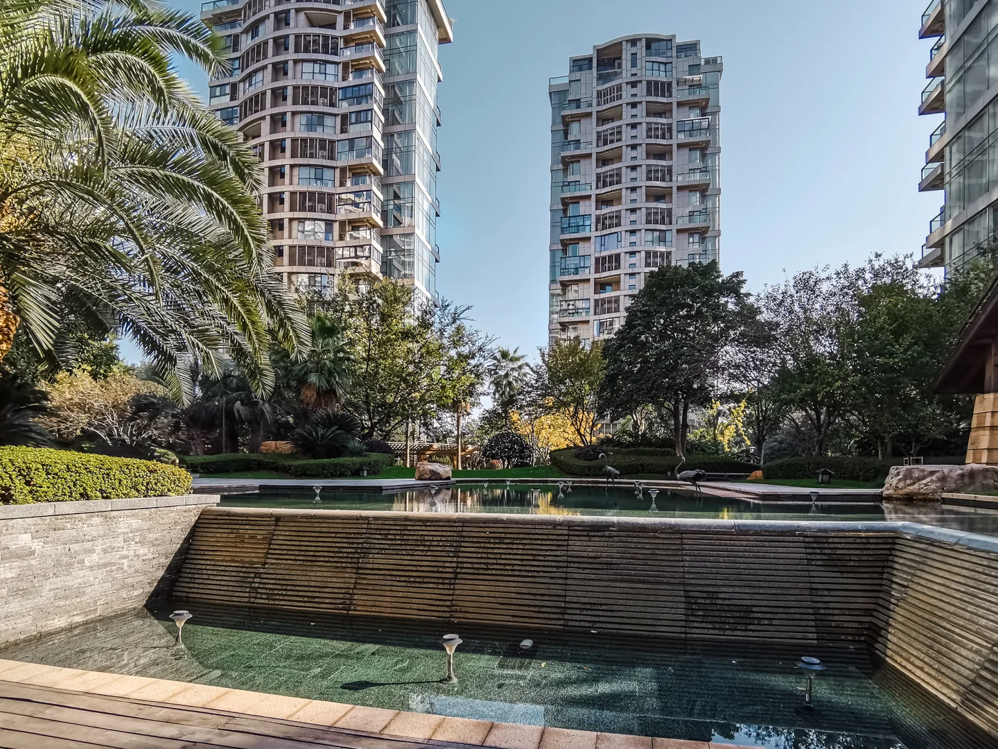 The Dreamland - Photo 18