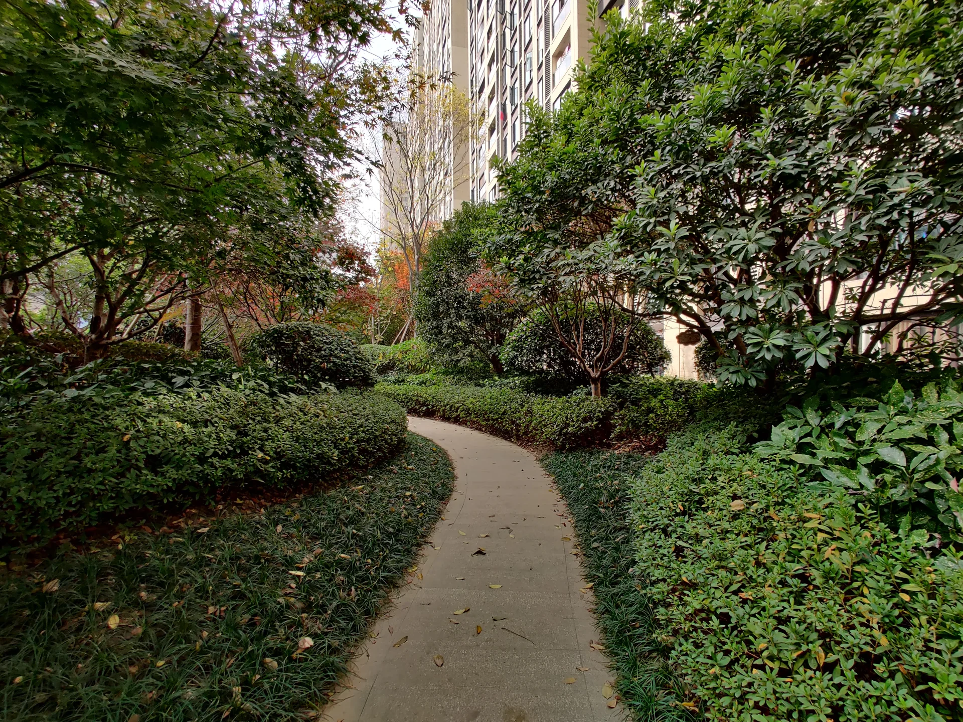 Jinmao Joy Court - Photo 4