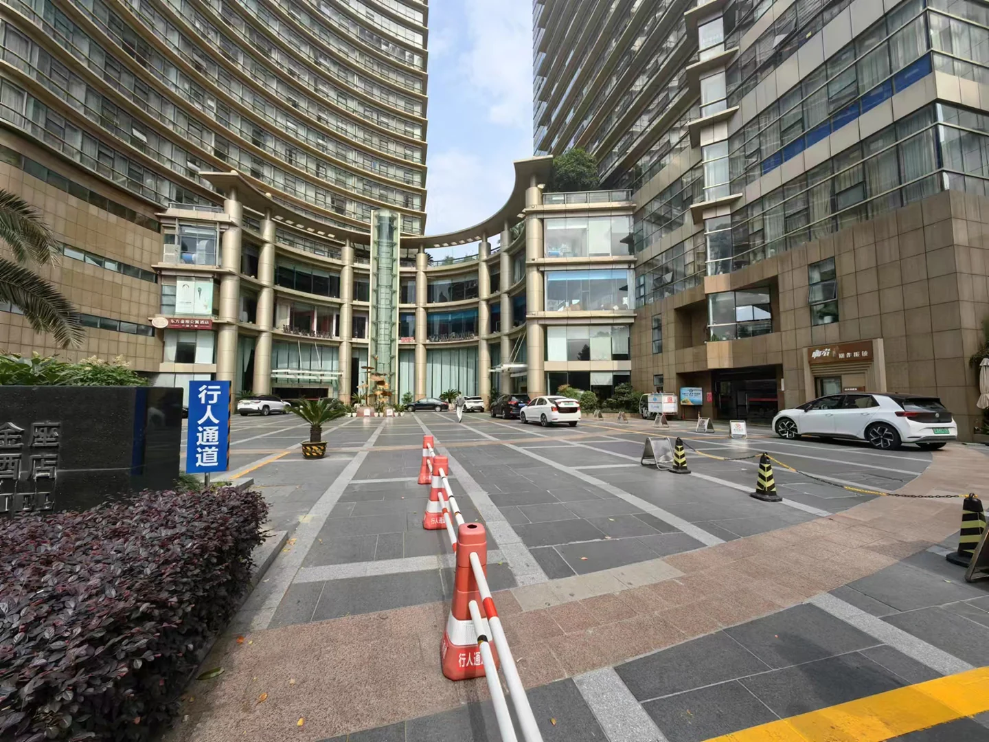 Oriental Golden - Photo 13