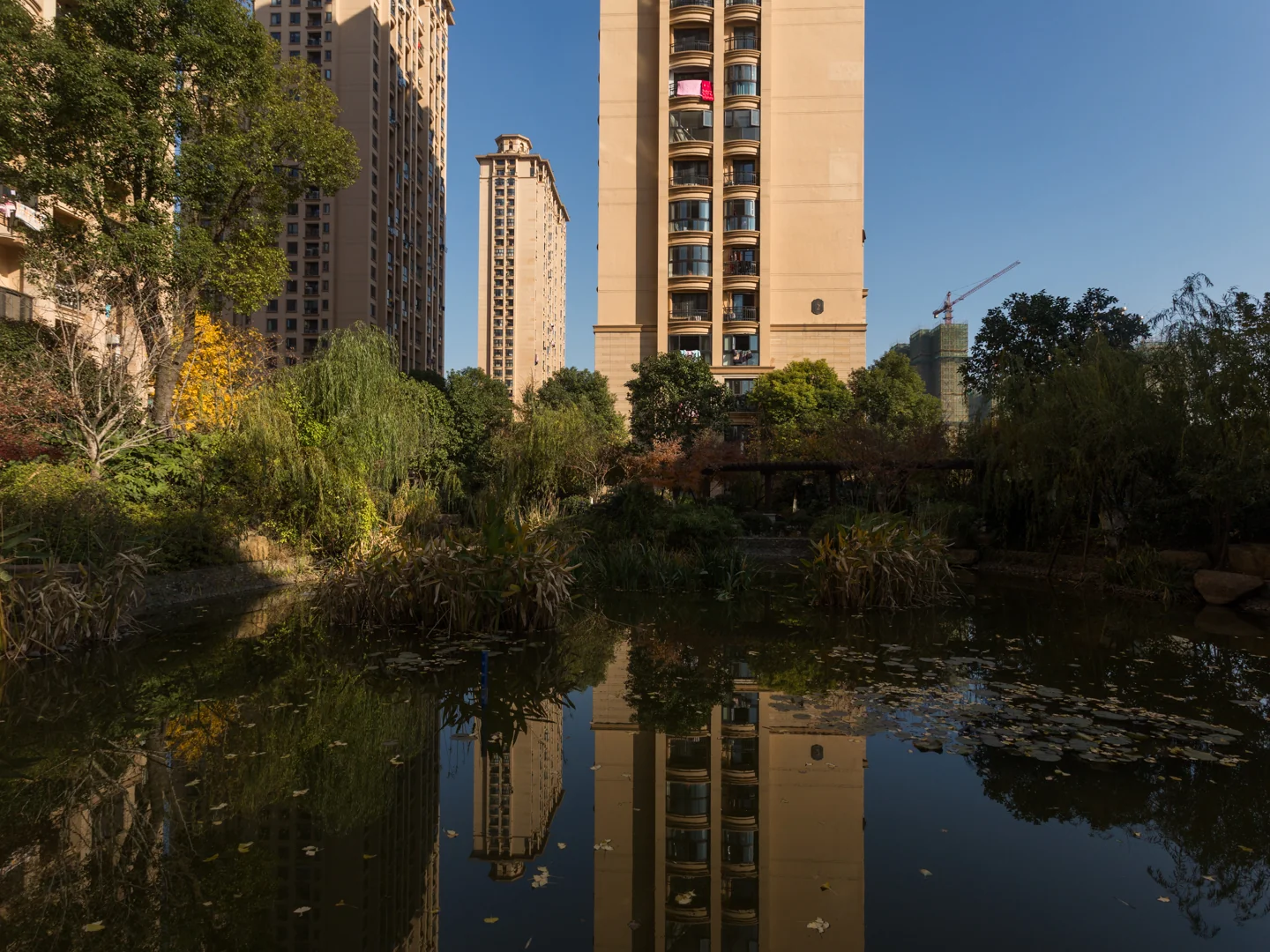 Radiant Clear Villa - Photo 3