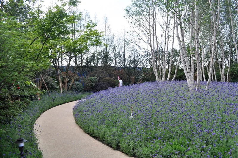 Longfor Spring River - Photo 36