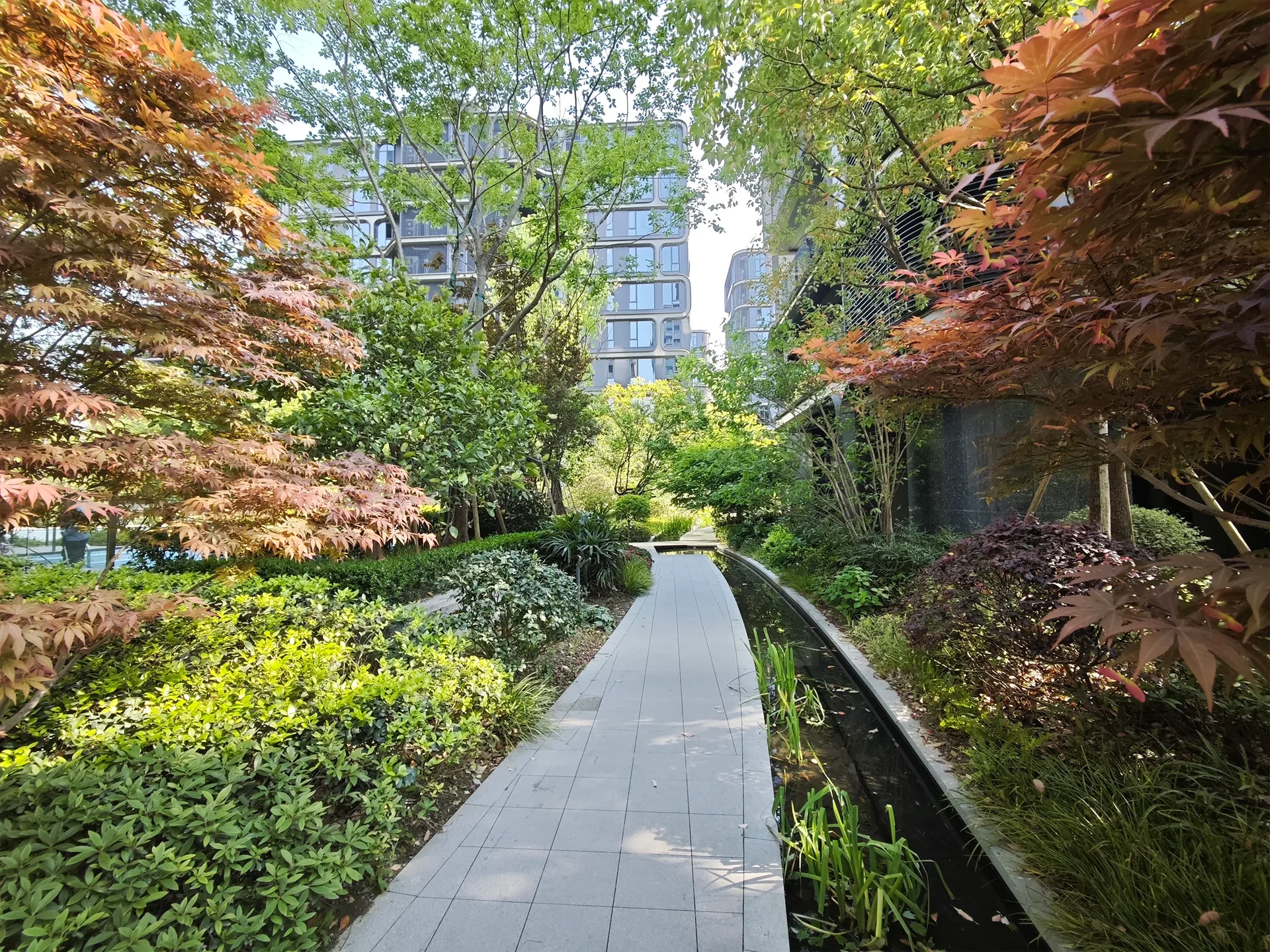 Renaissance - Photo 2