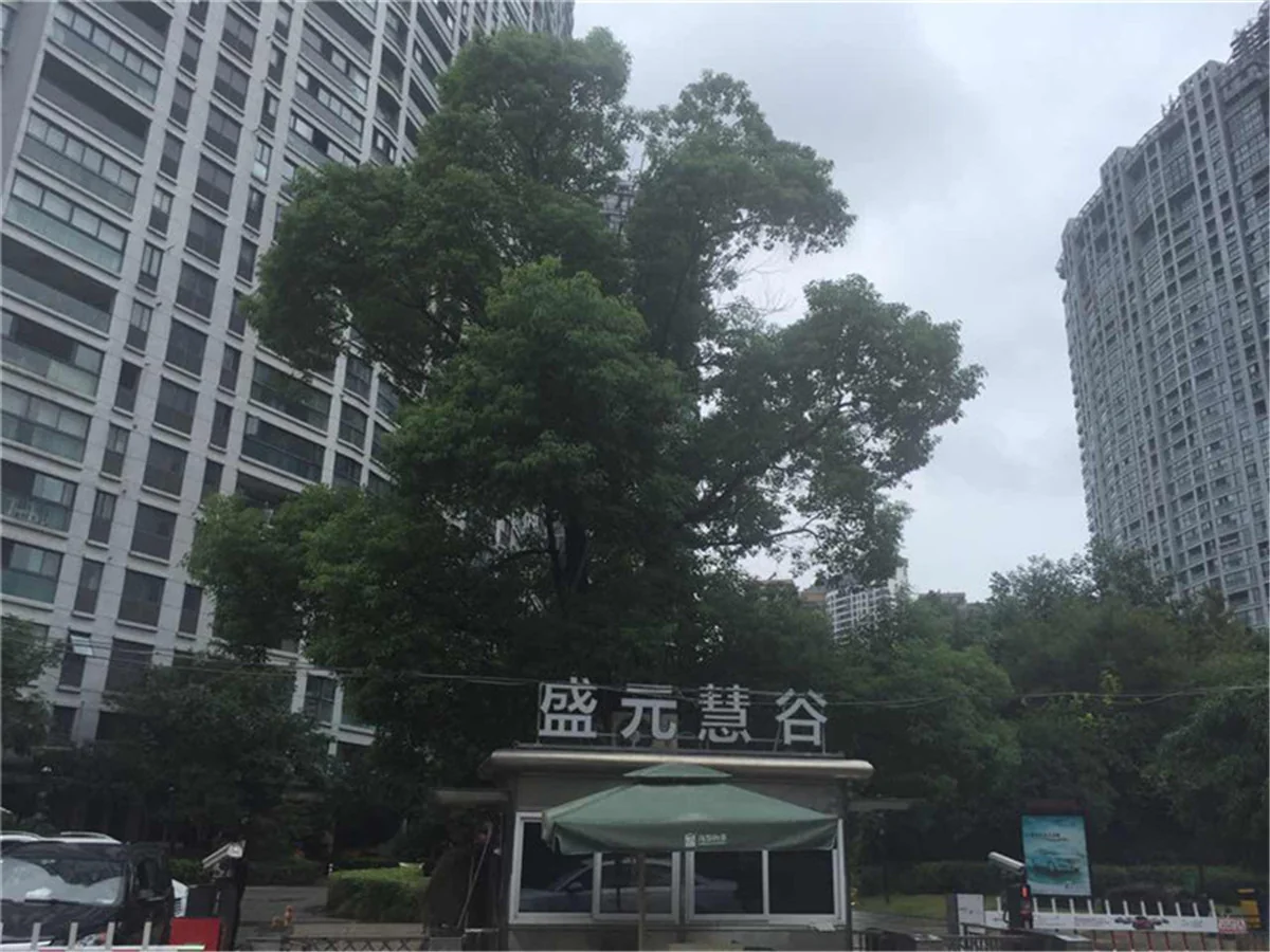 Wisdom World - Photo 15