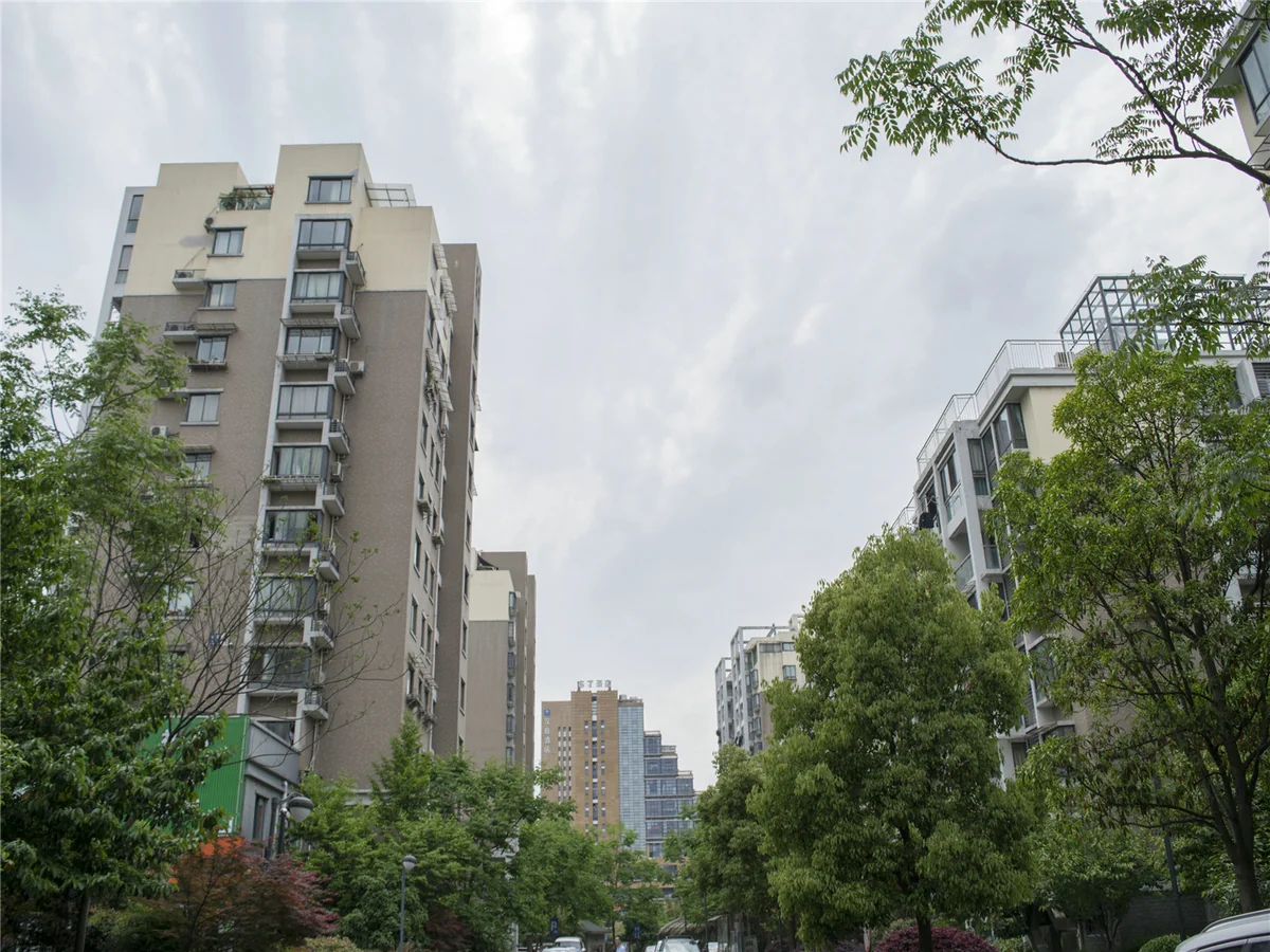 Harmony Garden - Photo 12