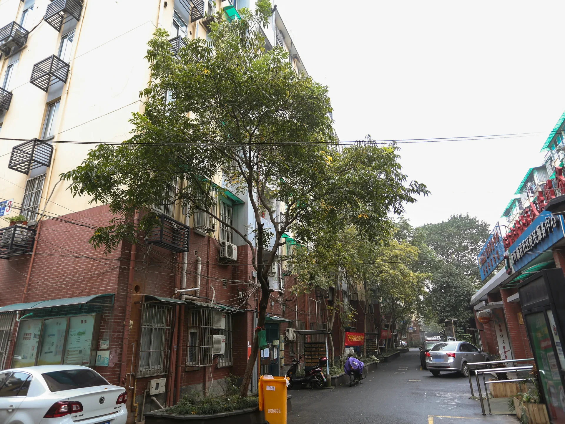 Tanghe New Village - Photo 14