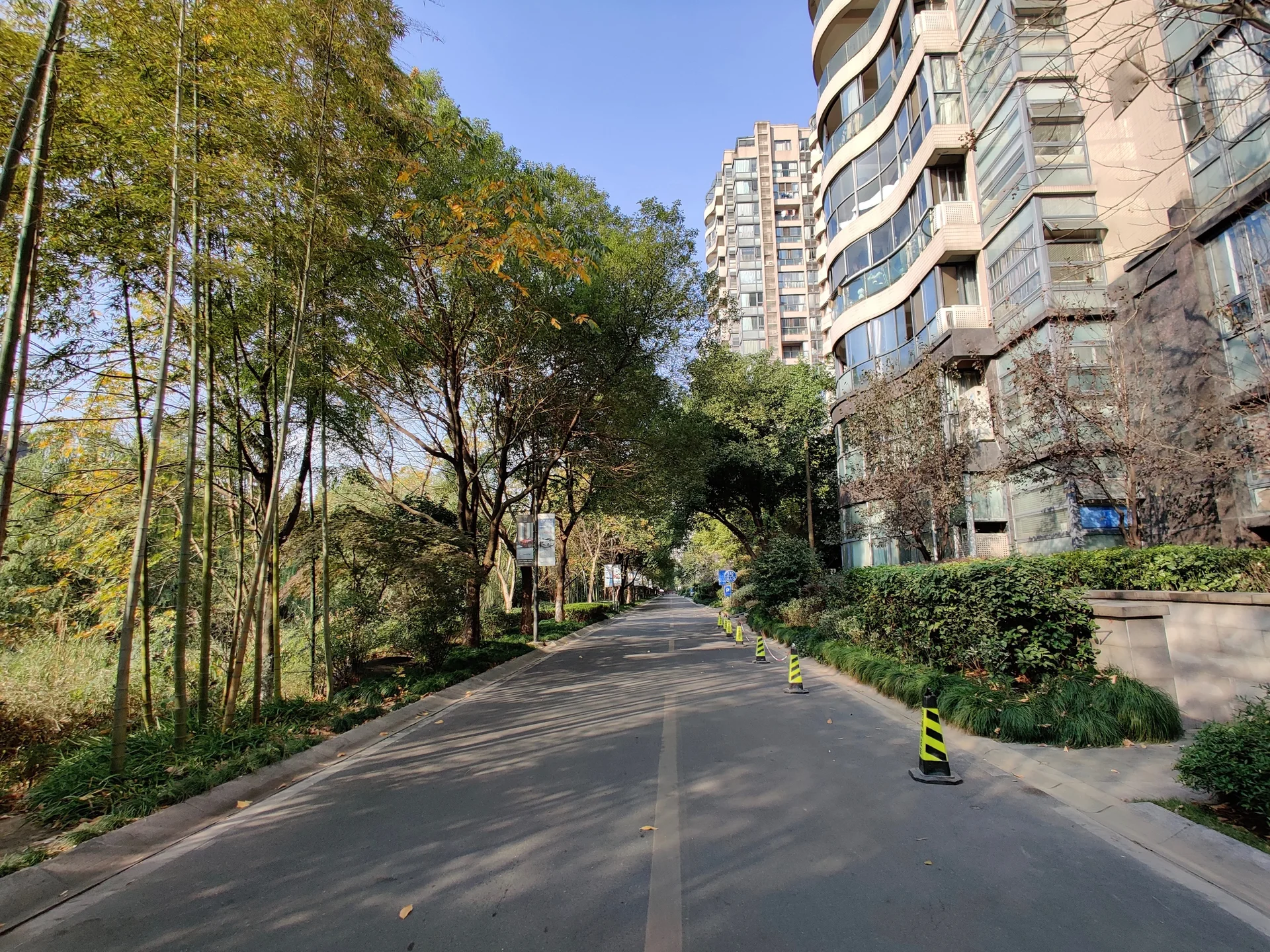 YJ Cultural Garden - Photo 56