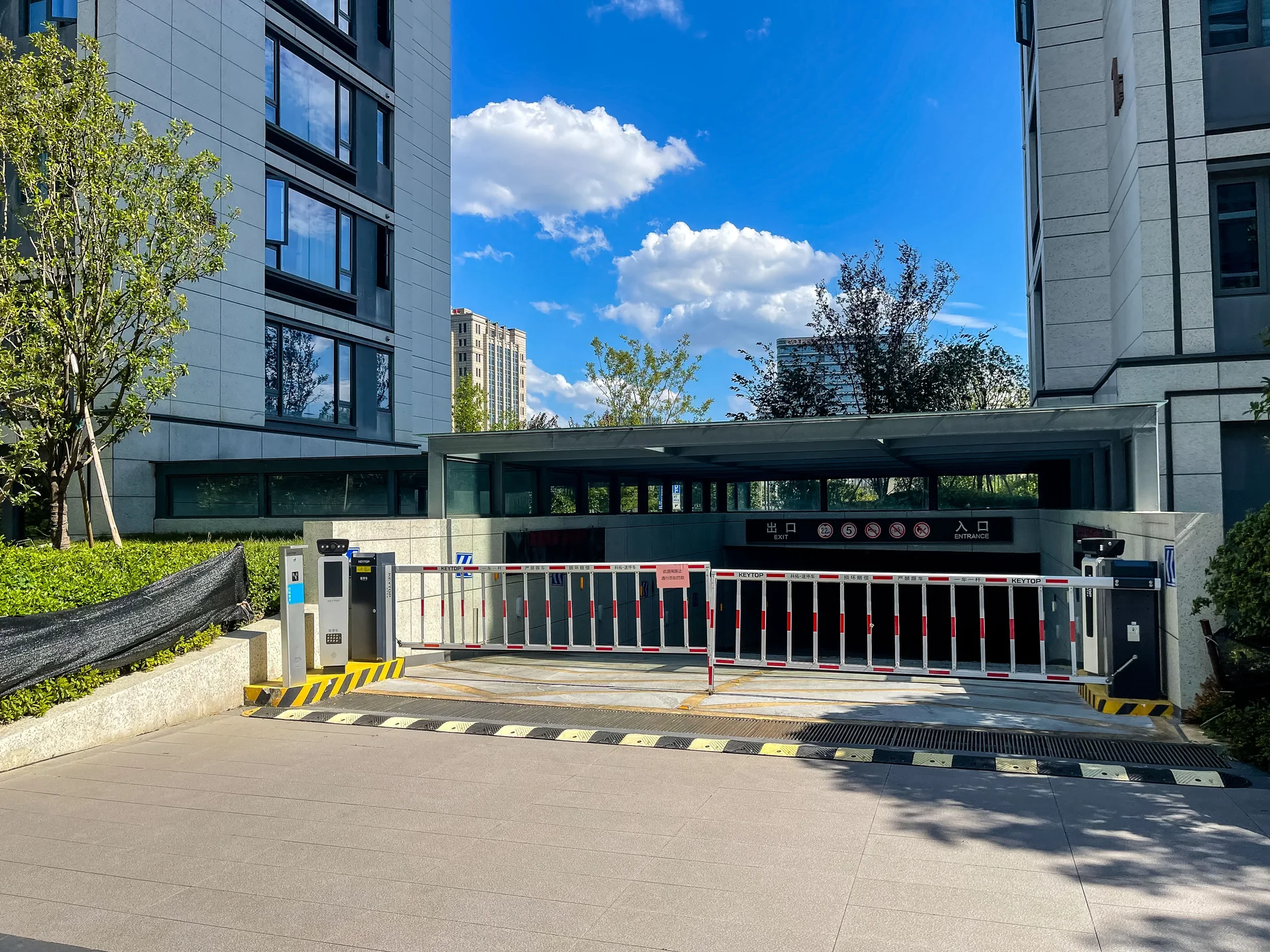 Bright Bay - Photo 12