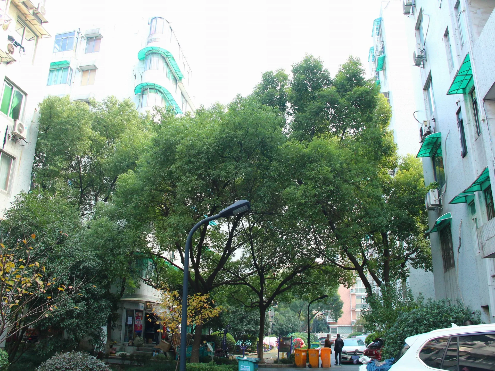 Nandu Garden - Photo 25