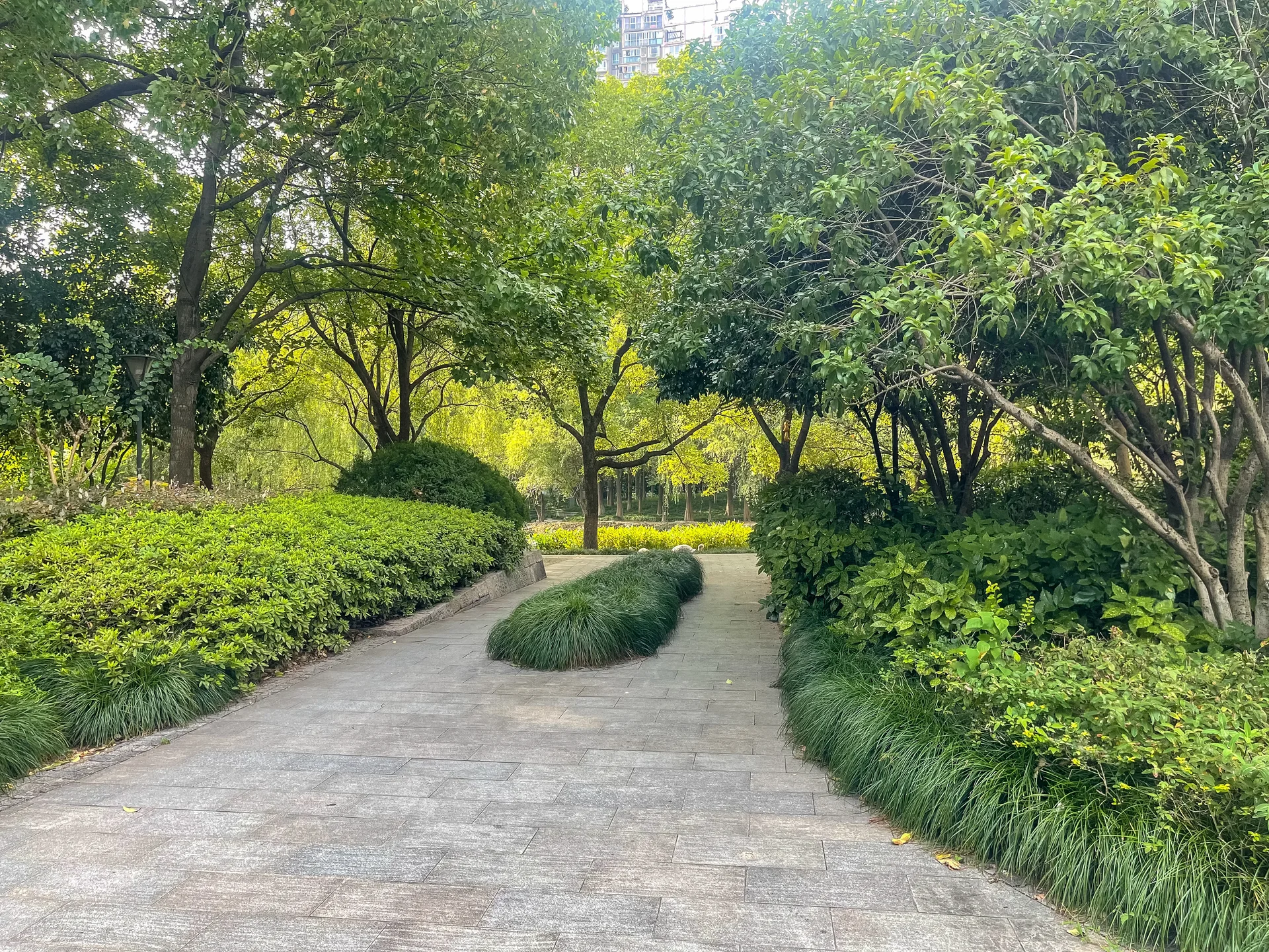 Modern  Garden - Photo 15