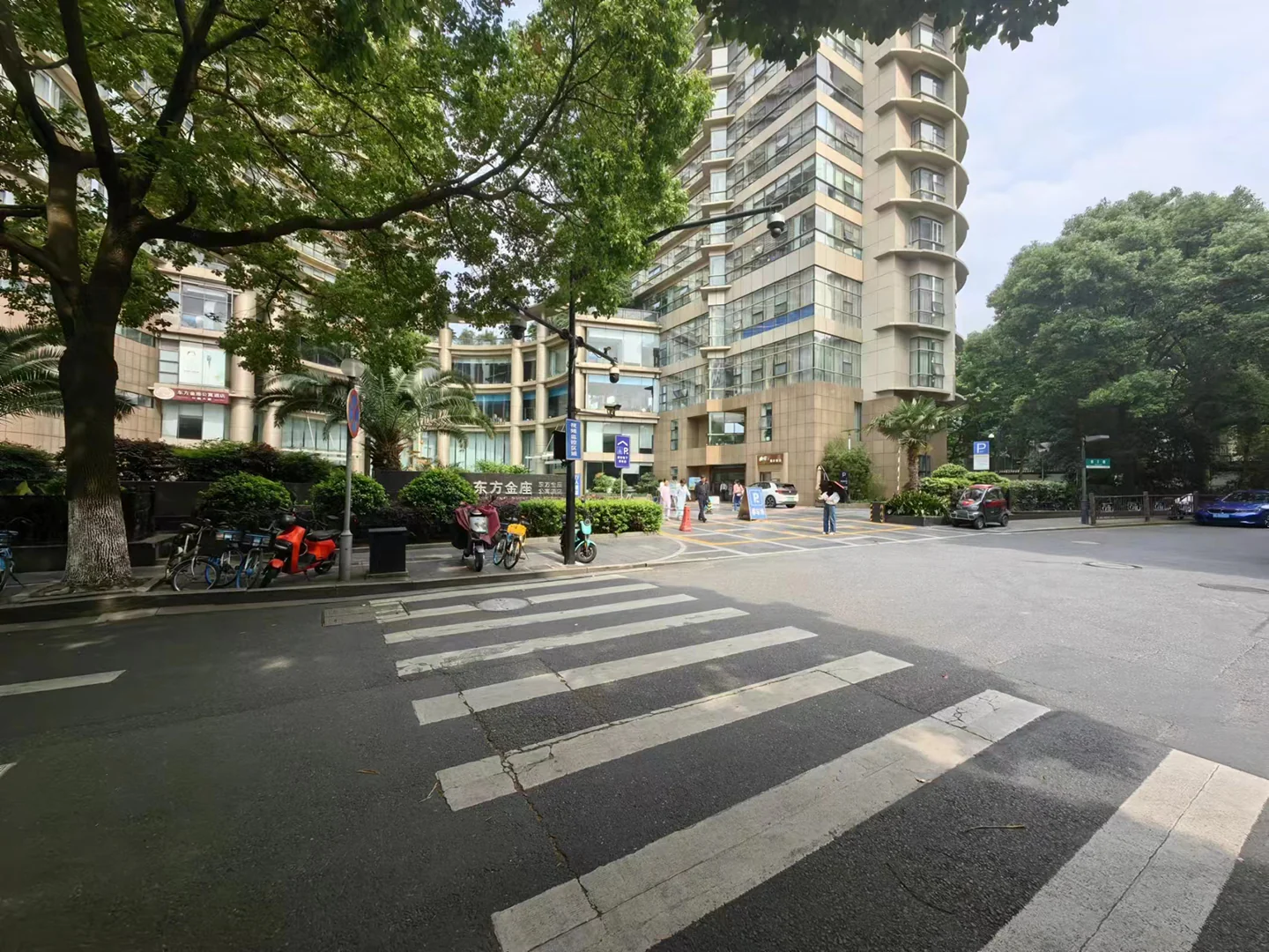 Oriental Golden - Photo 3