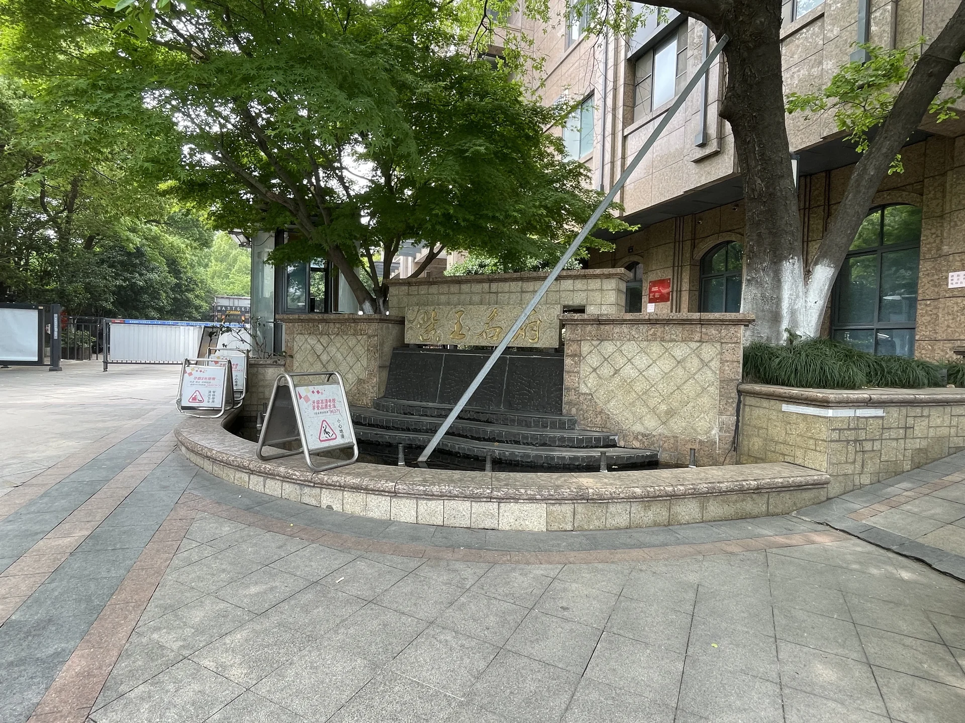 Purple Jade - Photo 6