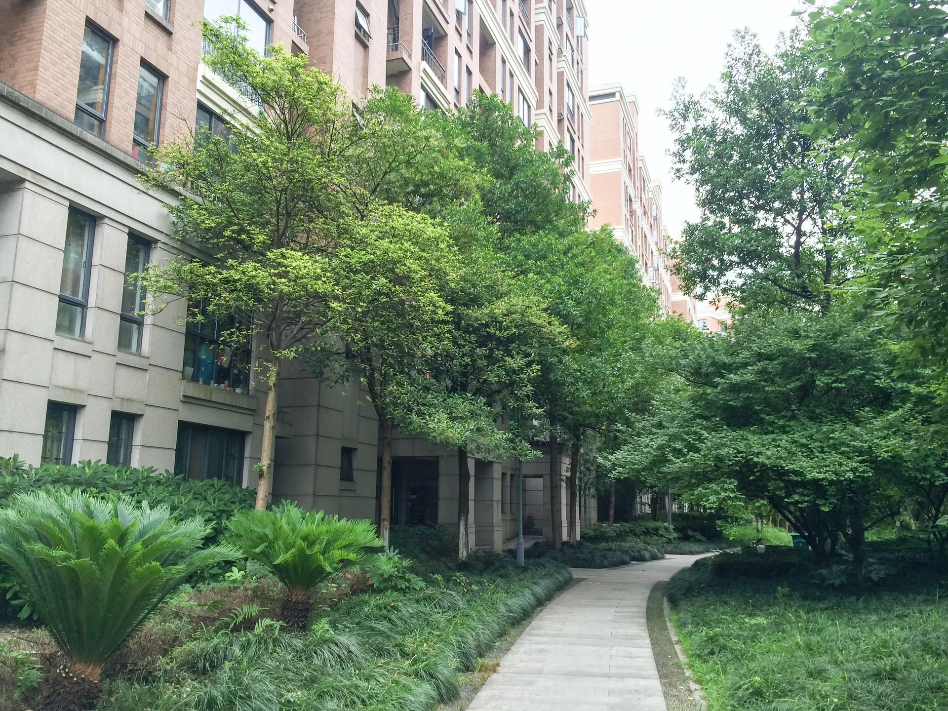 Platinum Shores - Photo 6