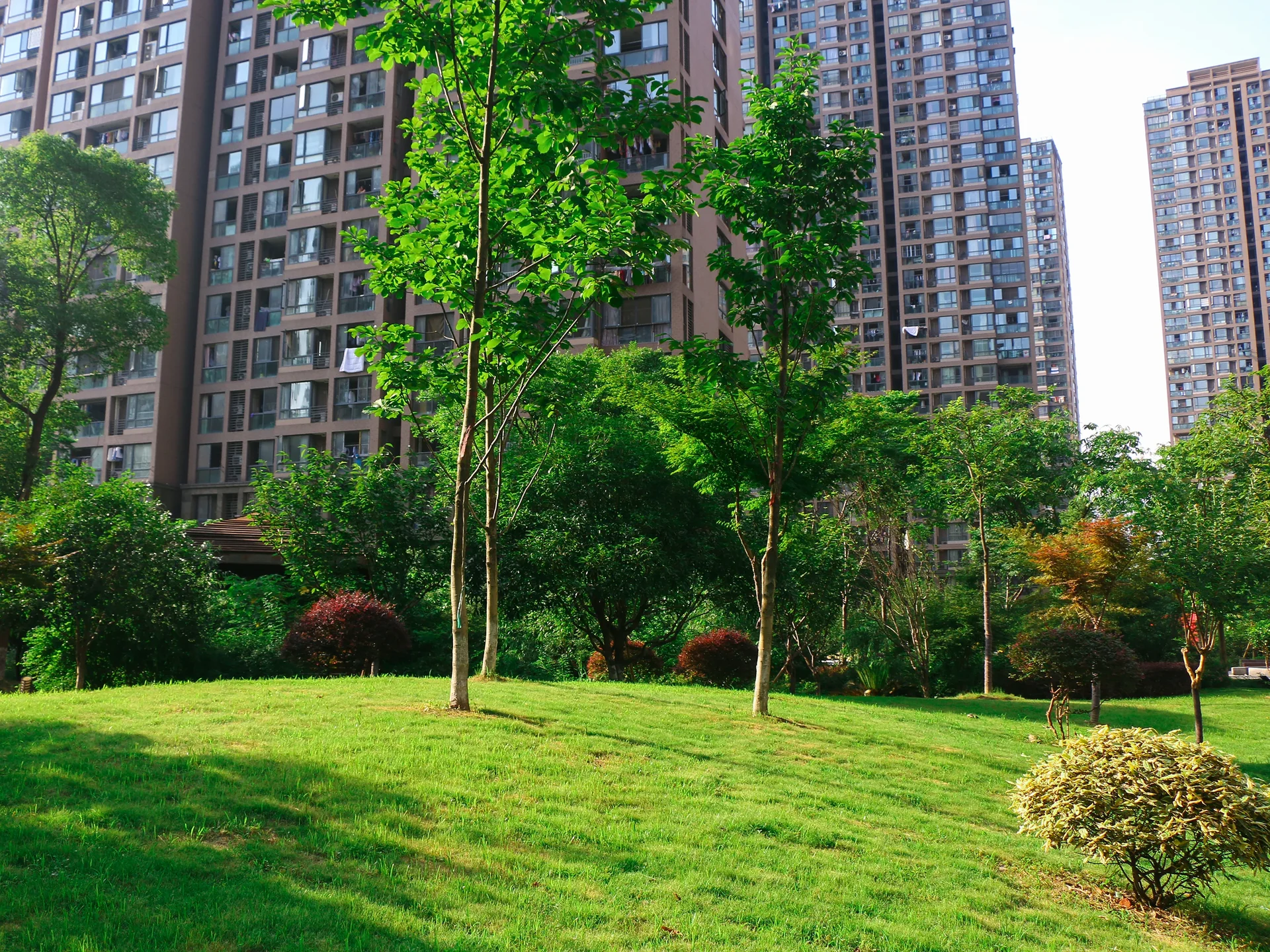 Hexie Garden (East) - Photo 17