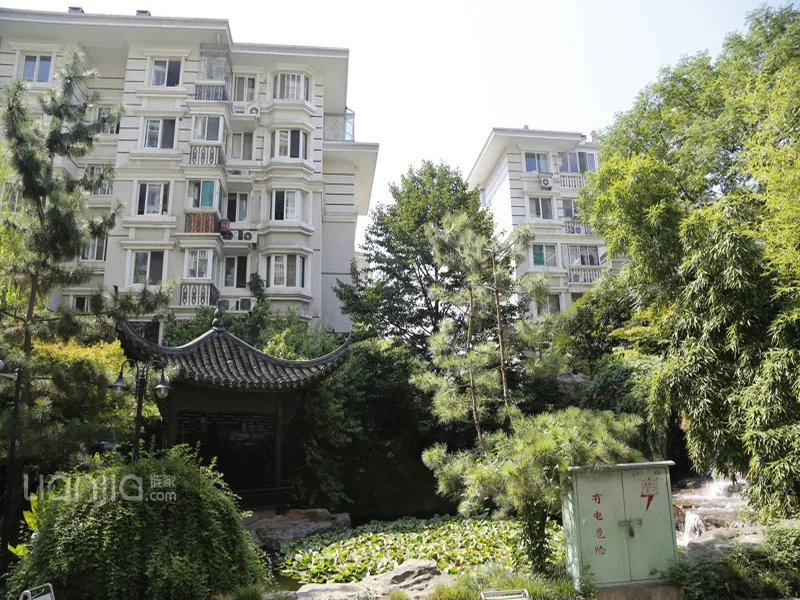 Eden View Garden - Photo 7