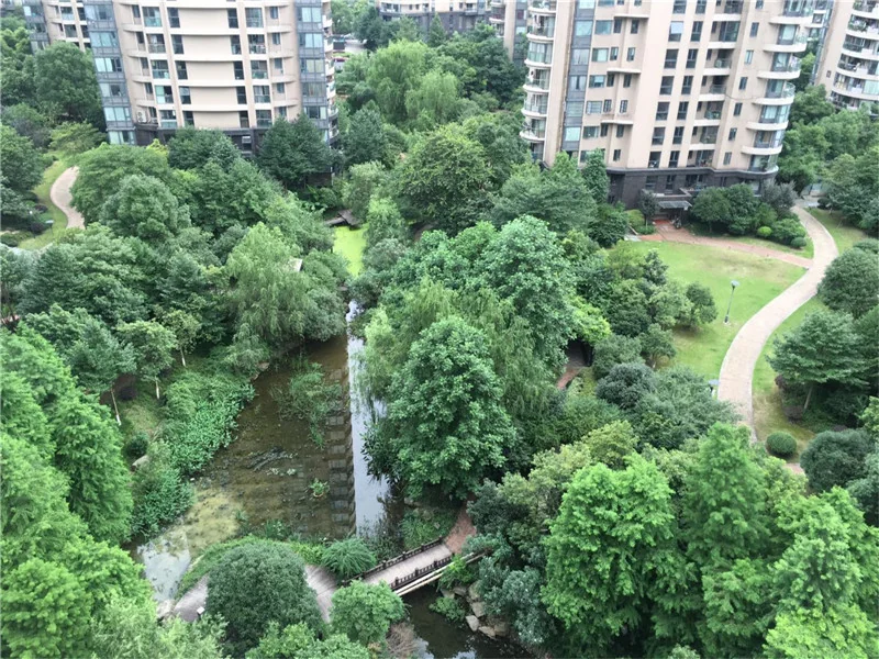 YJ Cultural Garden - Photo 52