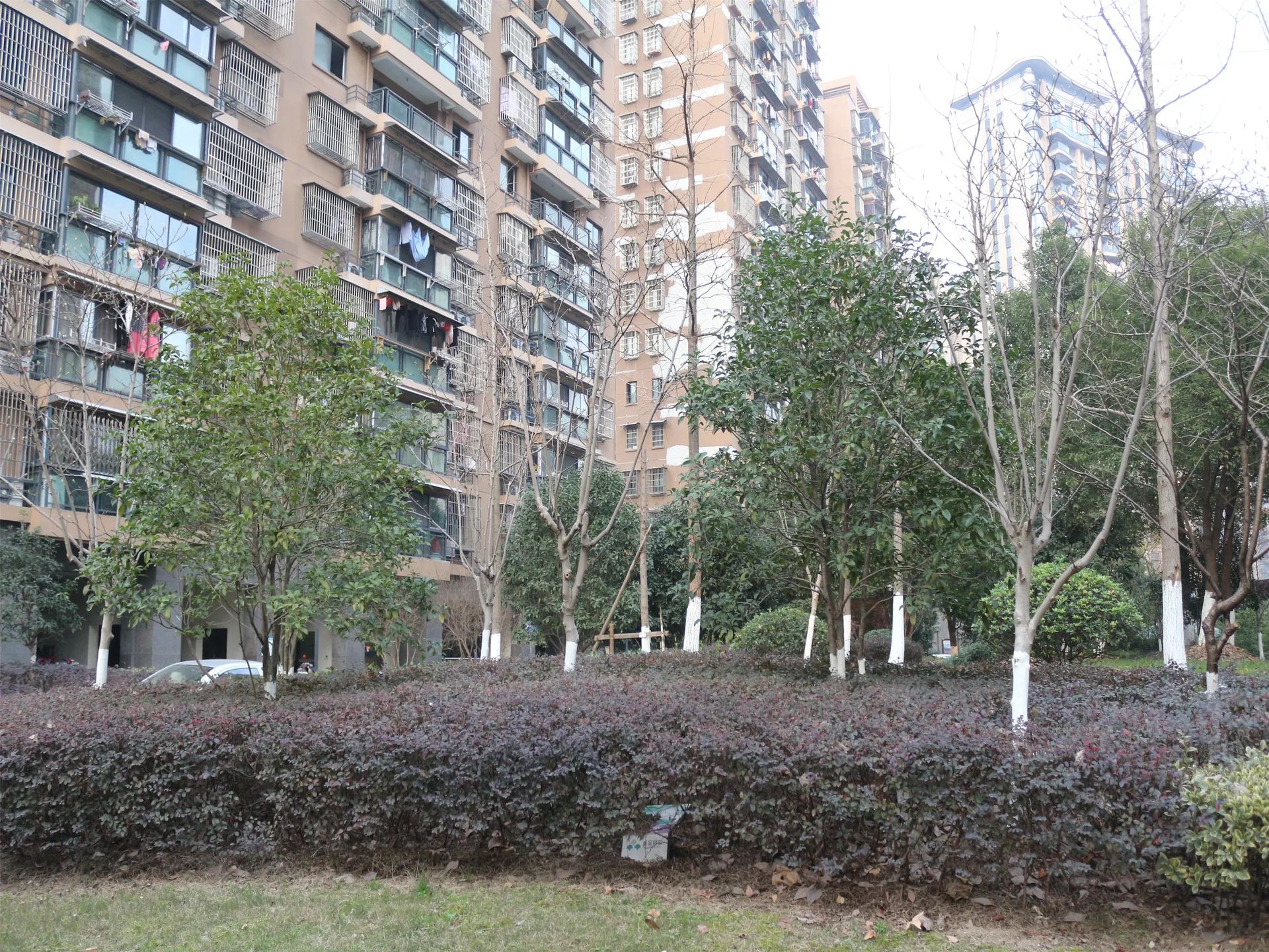 Fangjia Garden - Photo 14