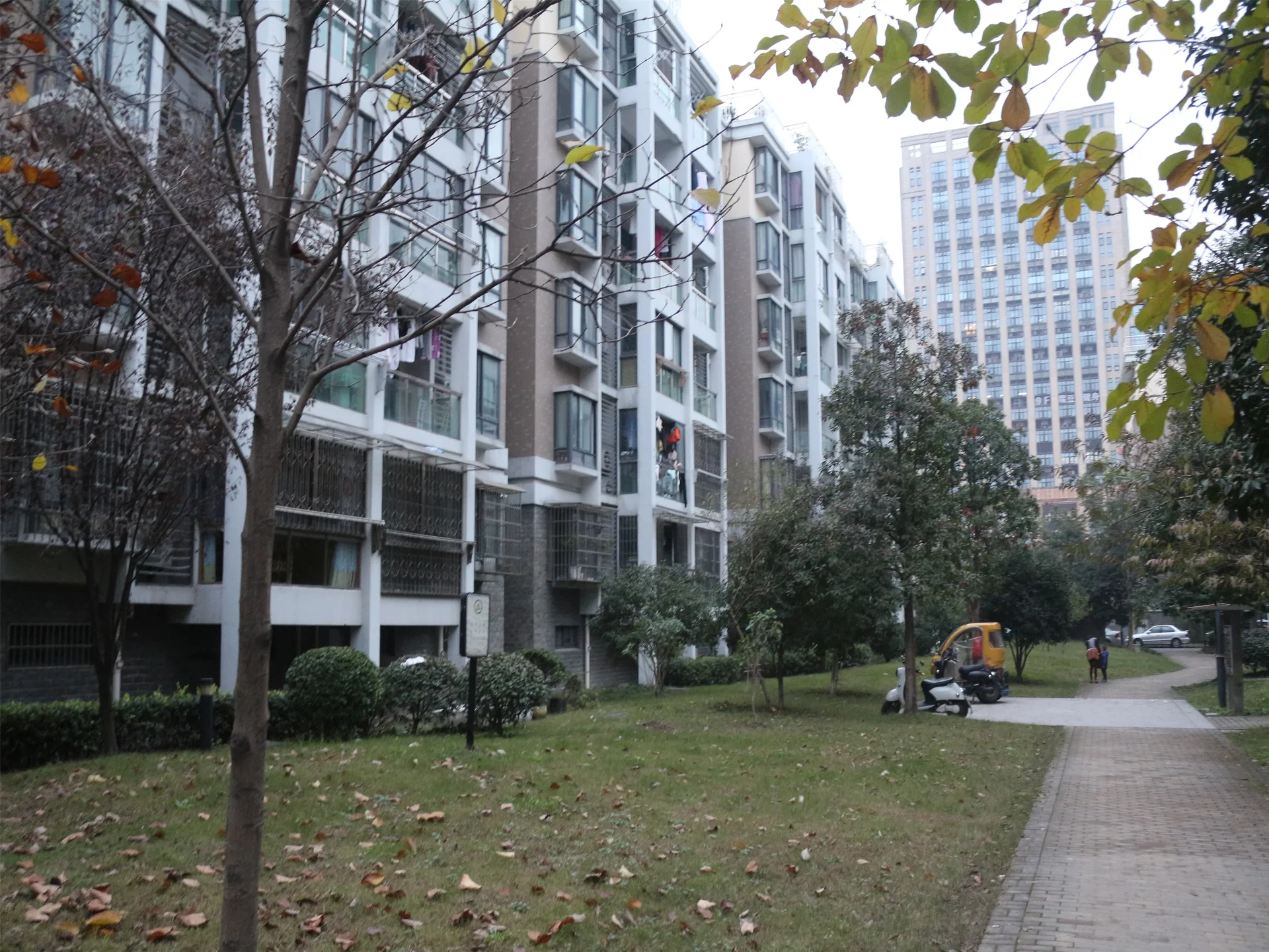 Harmony Garden - Photo 4