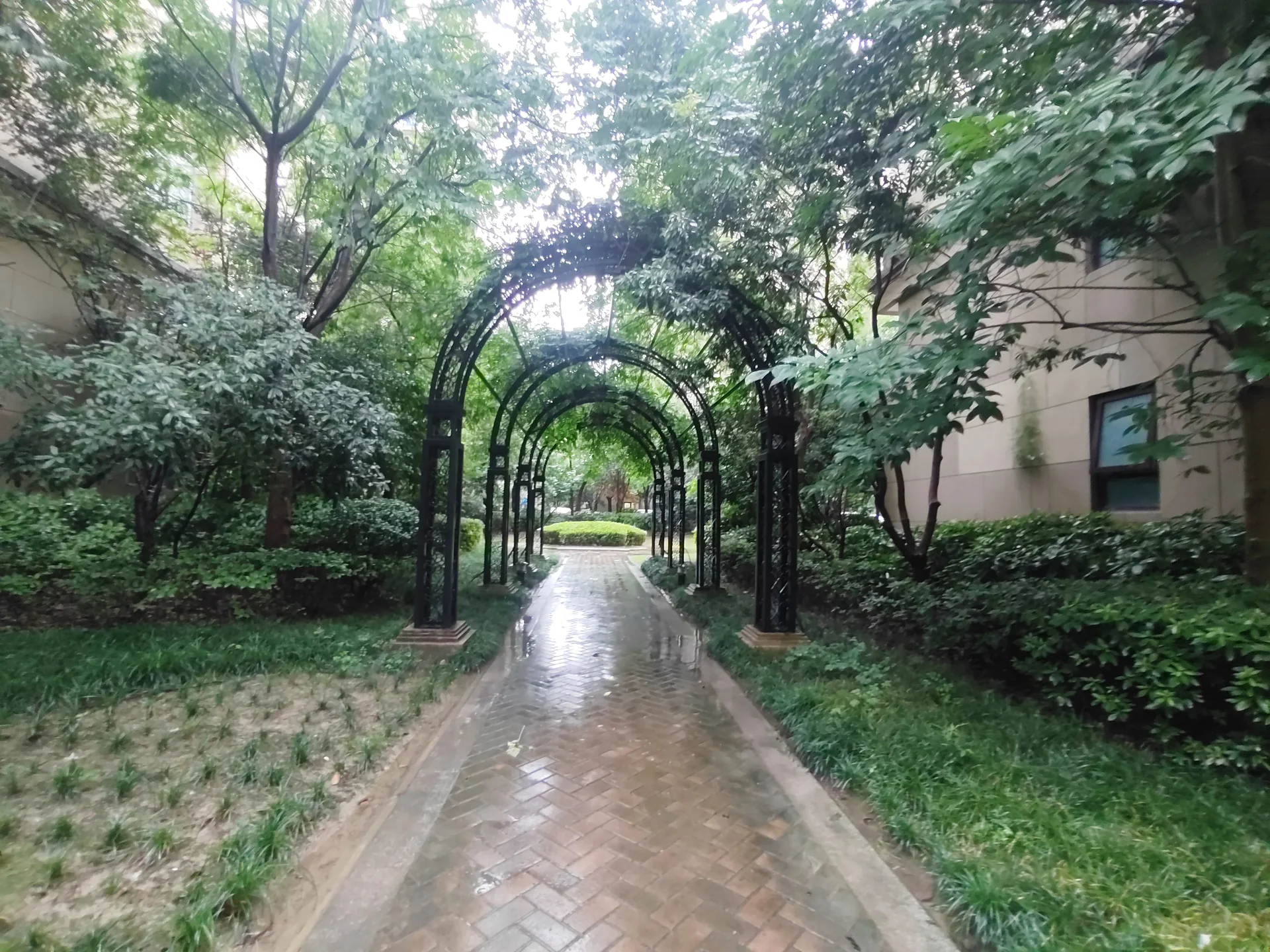 Shimao East No.1 (Maoyue Mansion) - Photo 6