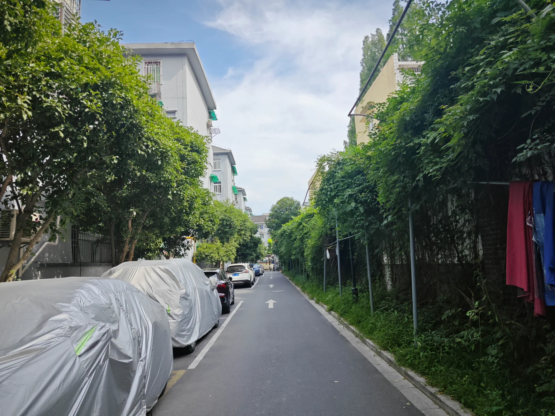 Mogan New Village - Photo 36