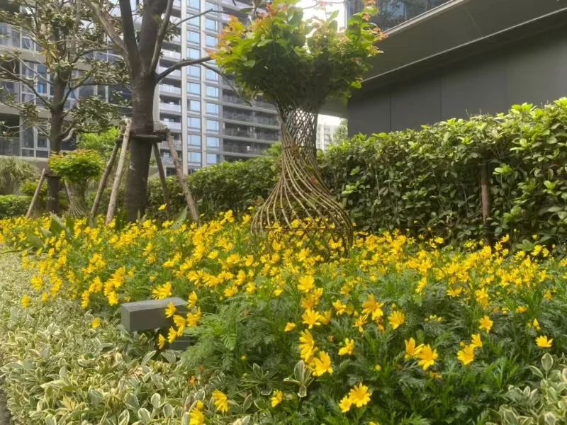 IMPERIAL MANSION - Photo 16