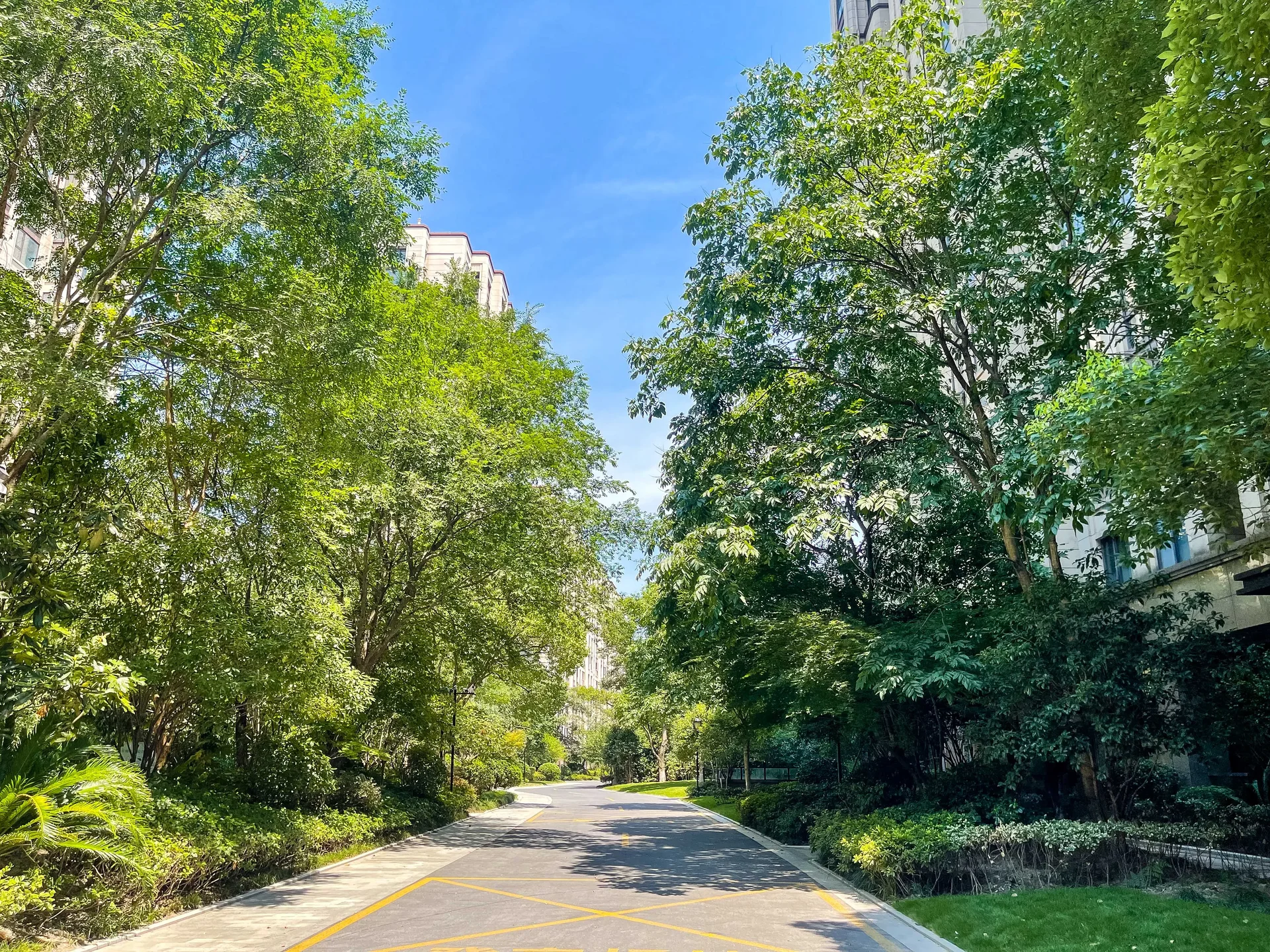 Dexin East Mansion - Photo 16