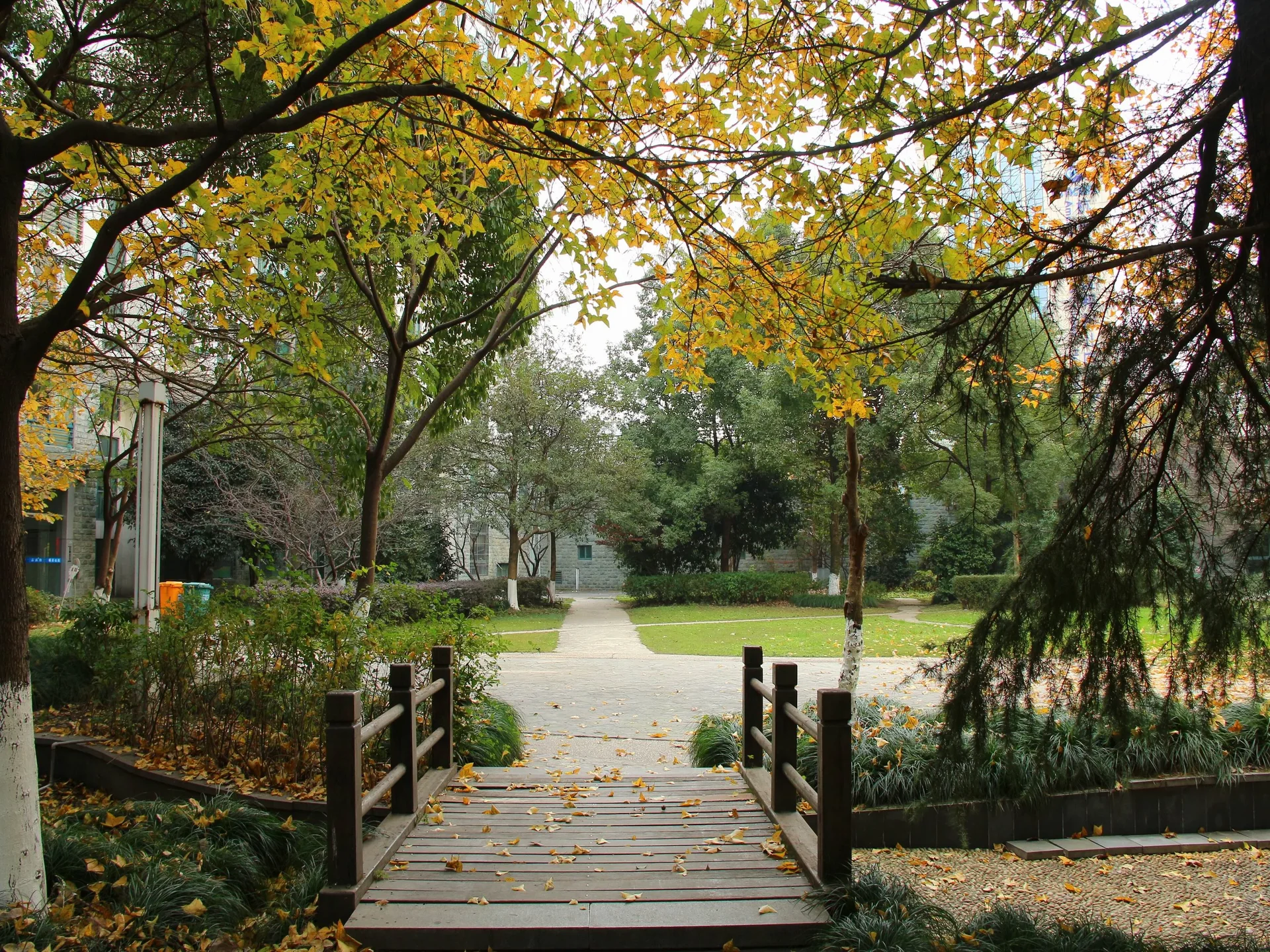 City Inner Peace - Photo 24