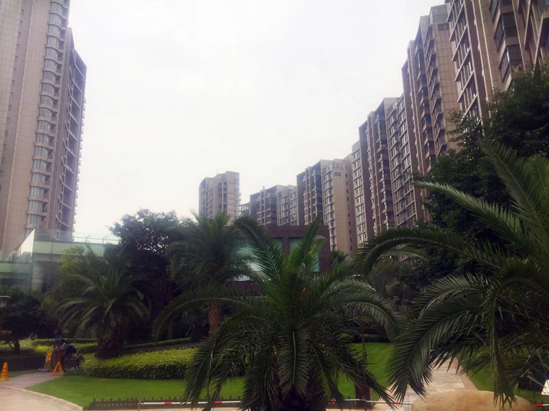 The Dreamland - Photo 6