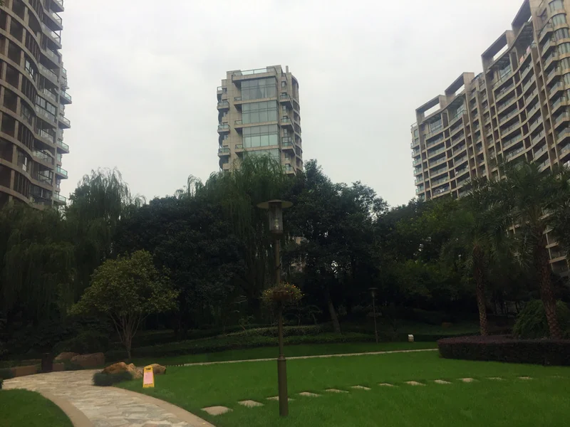 The Dreamland - Photo 9