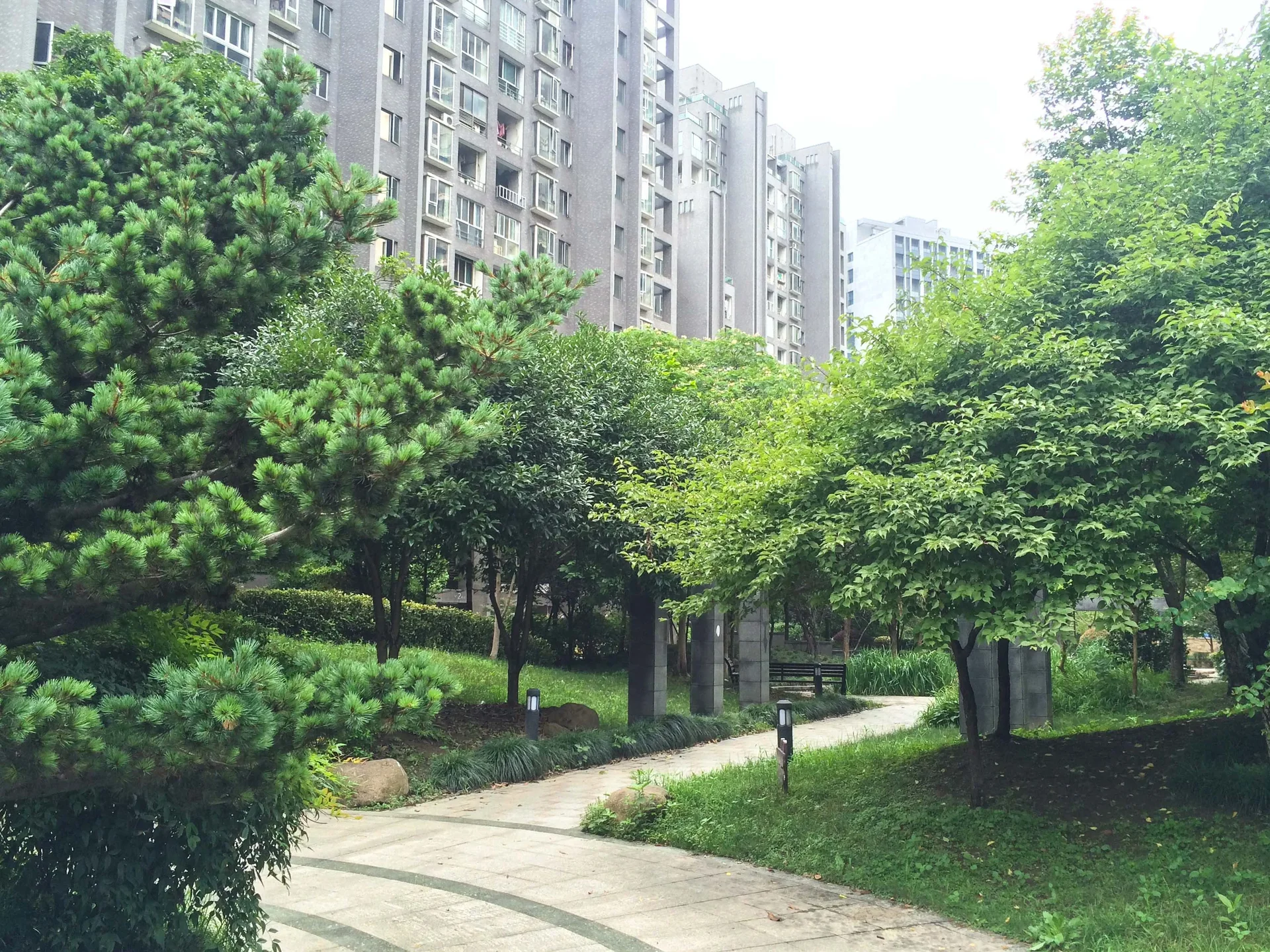 Platinum Era - Photo 3