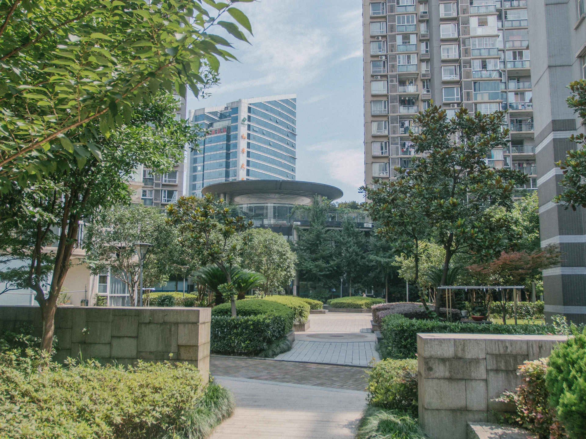 Modern  Garden - Photo 11