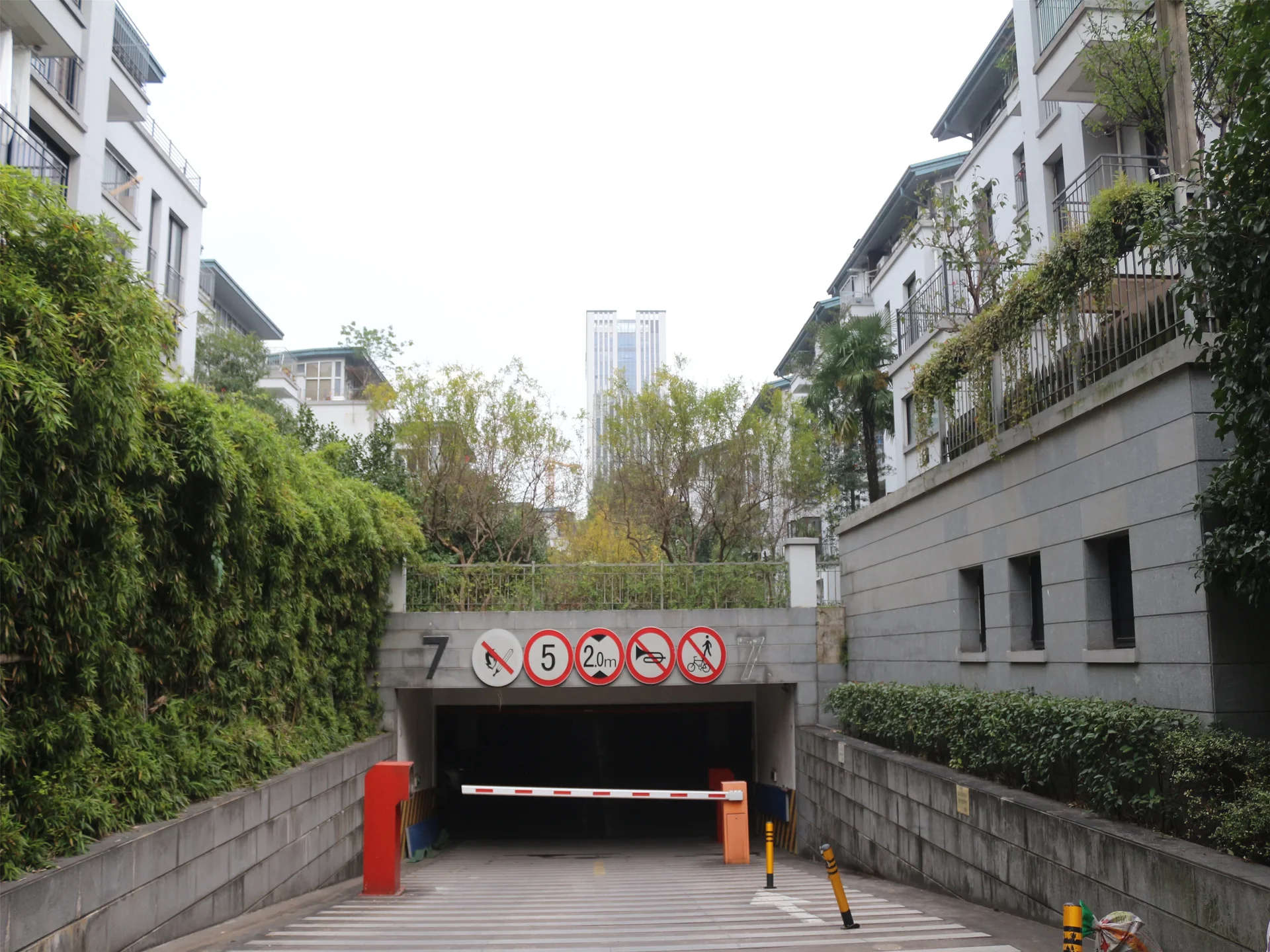 Jiangbin Garden - Photo 38