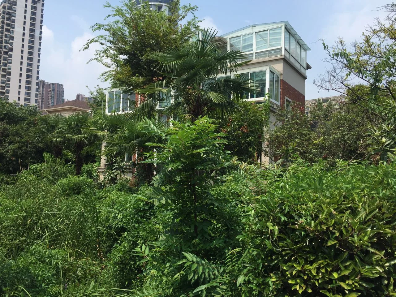 Guoxin Joy Garden - Photo 21