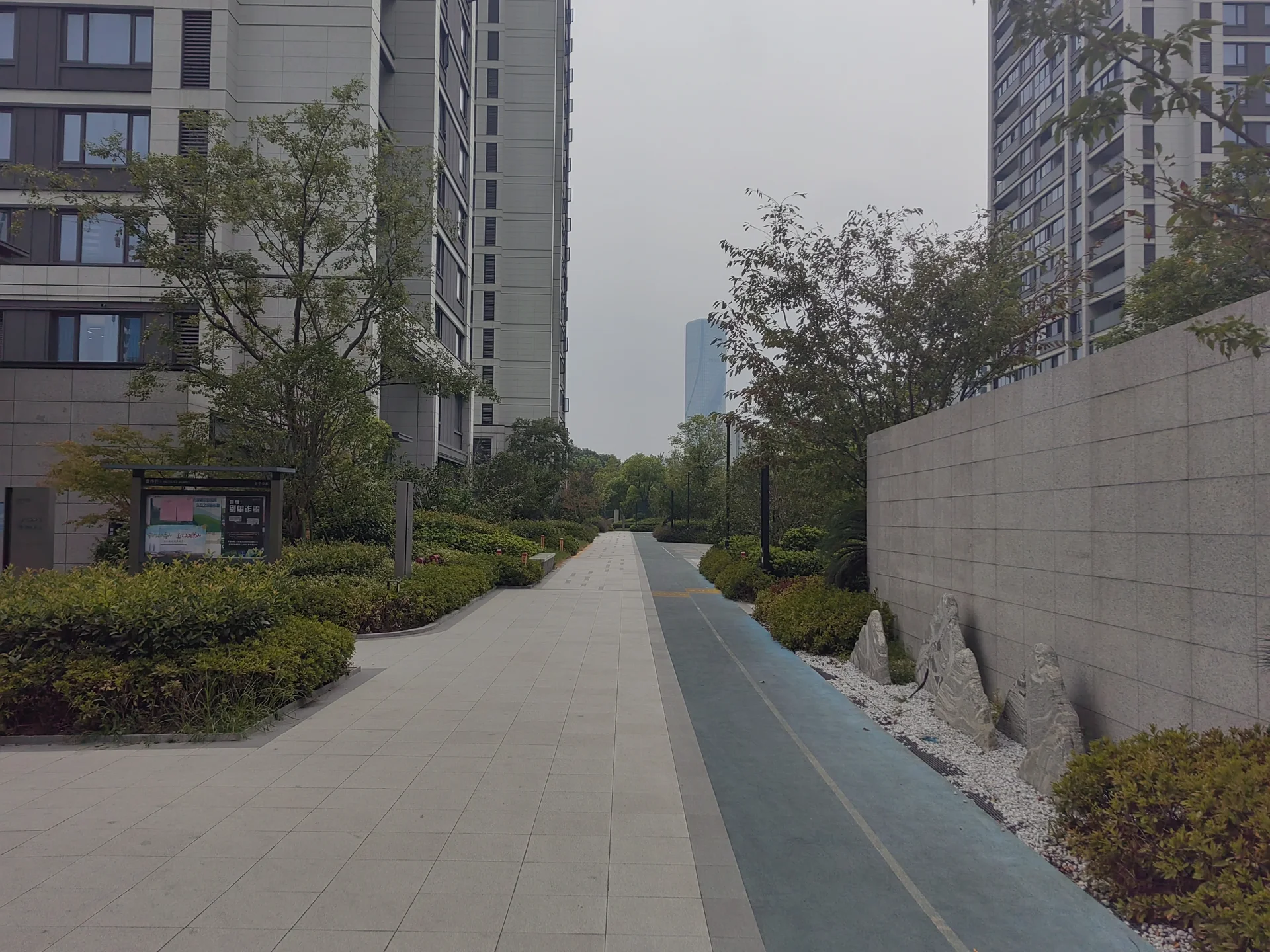 Serene Grace - Photo 6