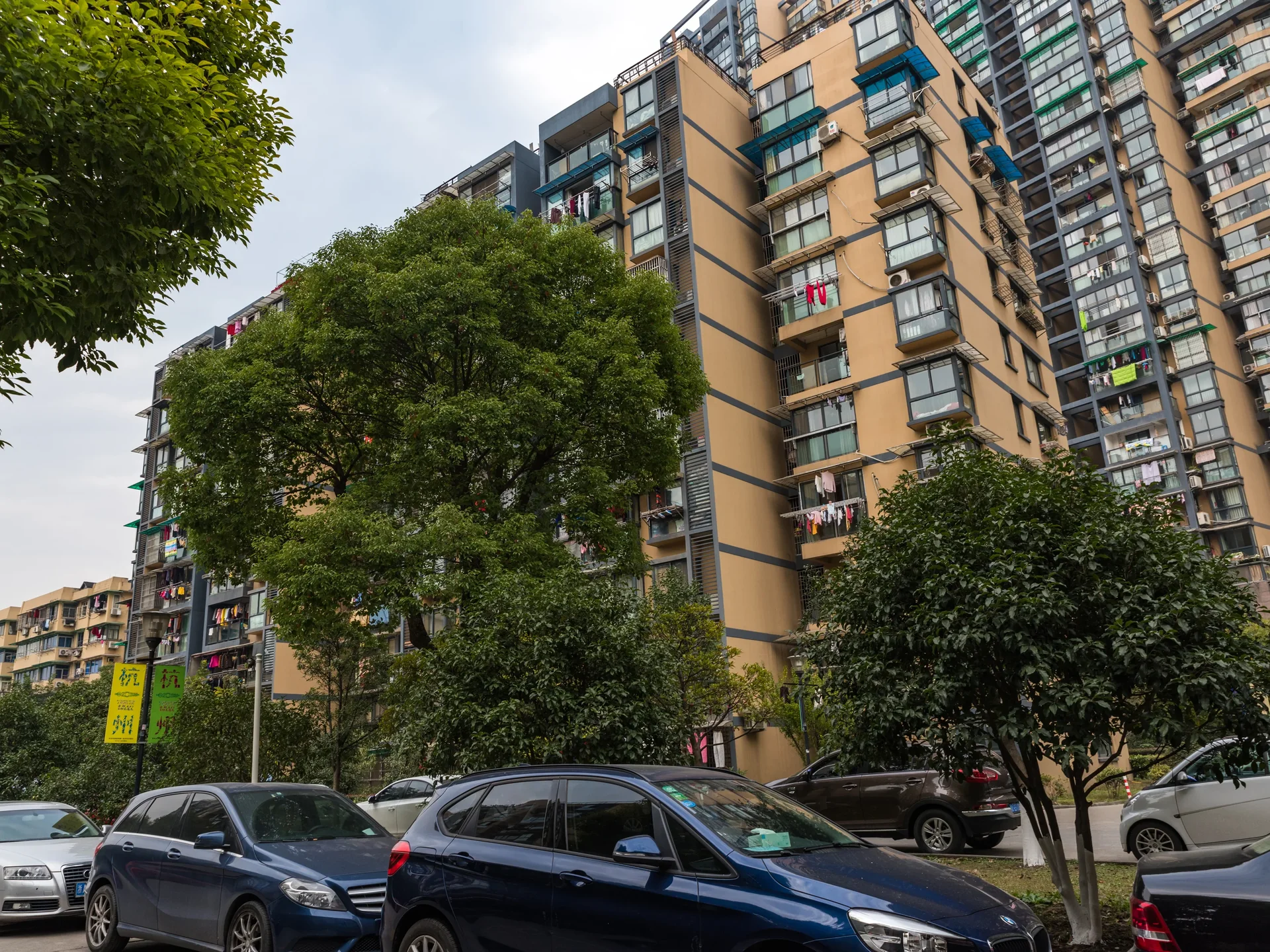 Phoenix North Garden - Photo 7