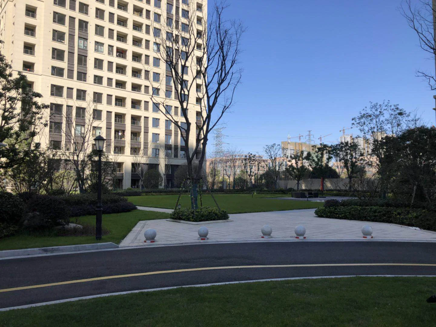 Golden Dawn Light - Photo 13