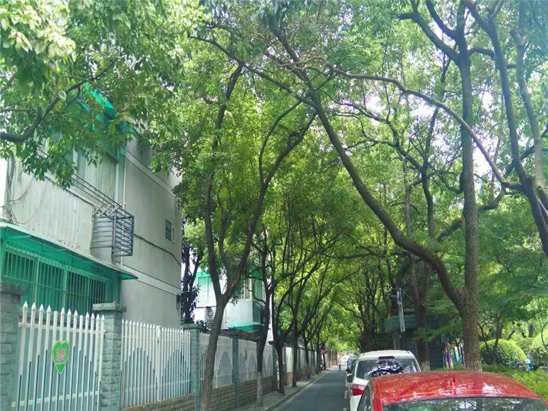 Mogan New Village - Photo 24