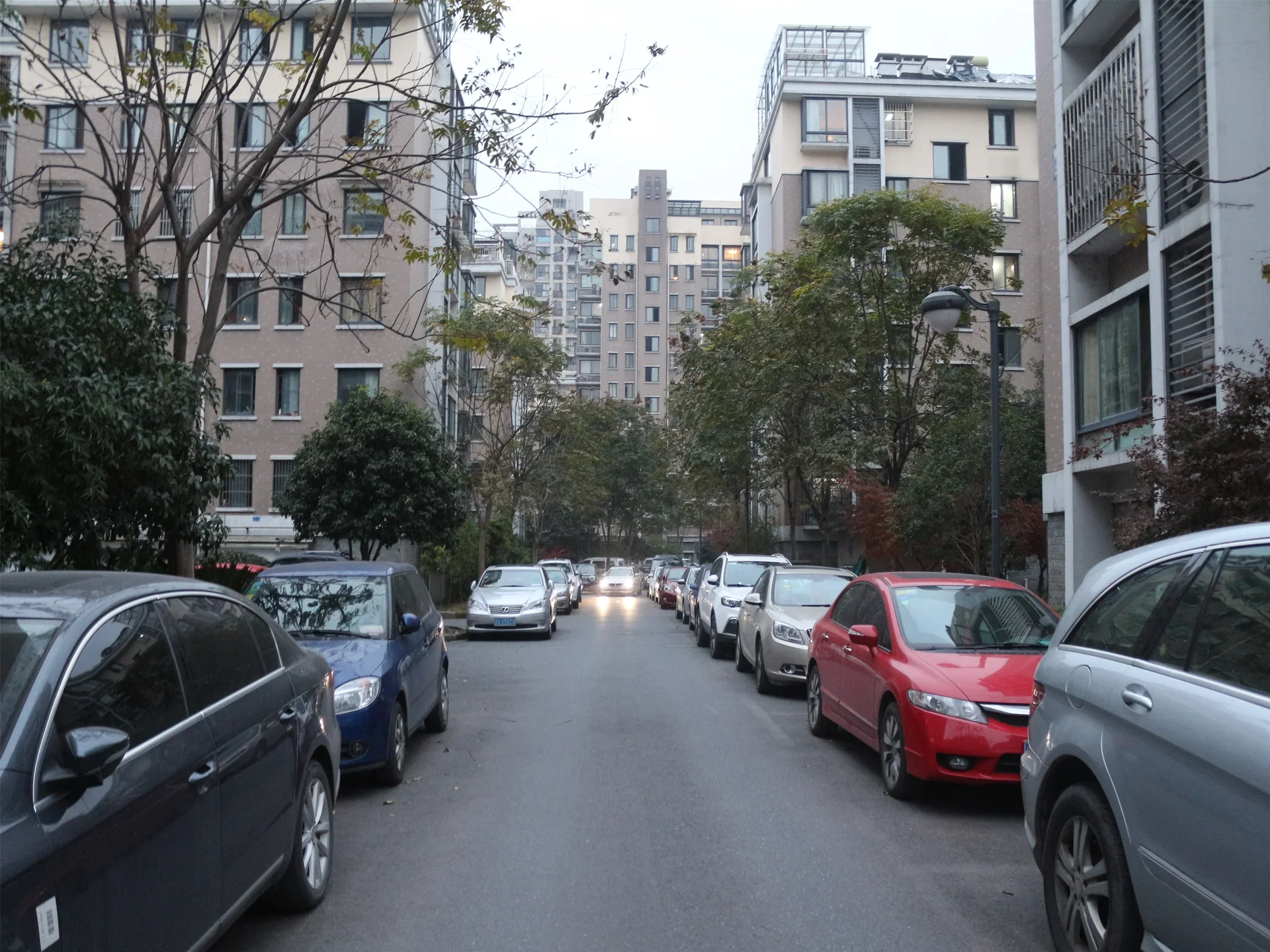 Harmony Garden - Photo 10