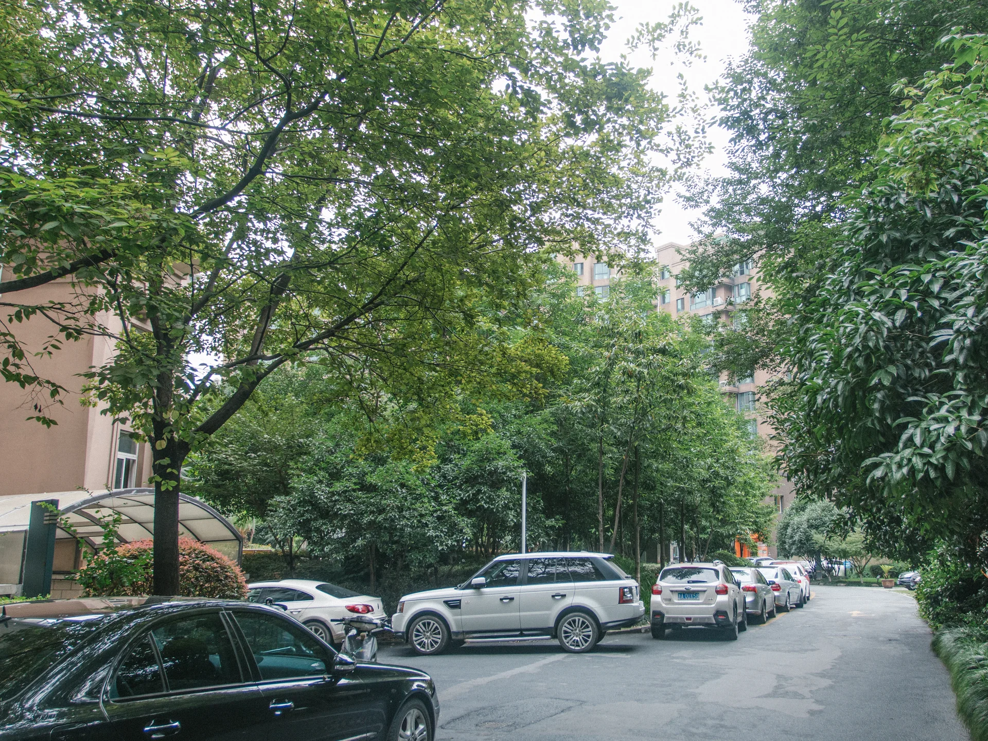 Lvzhou Gardon - Photo 24