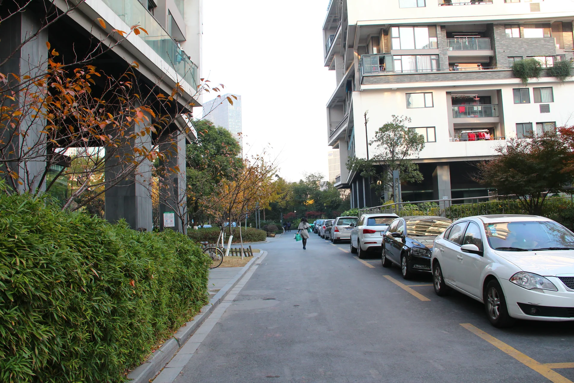 The Times - Photo 29