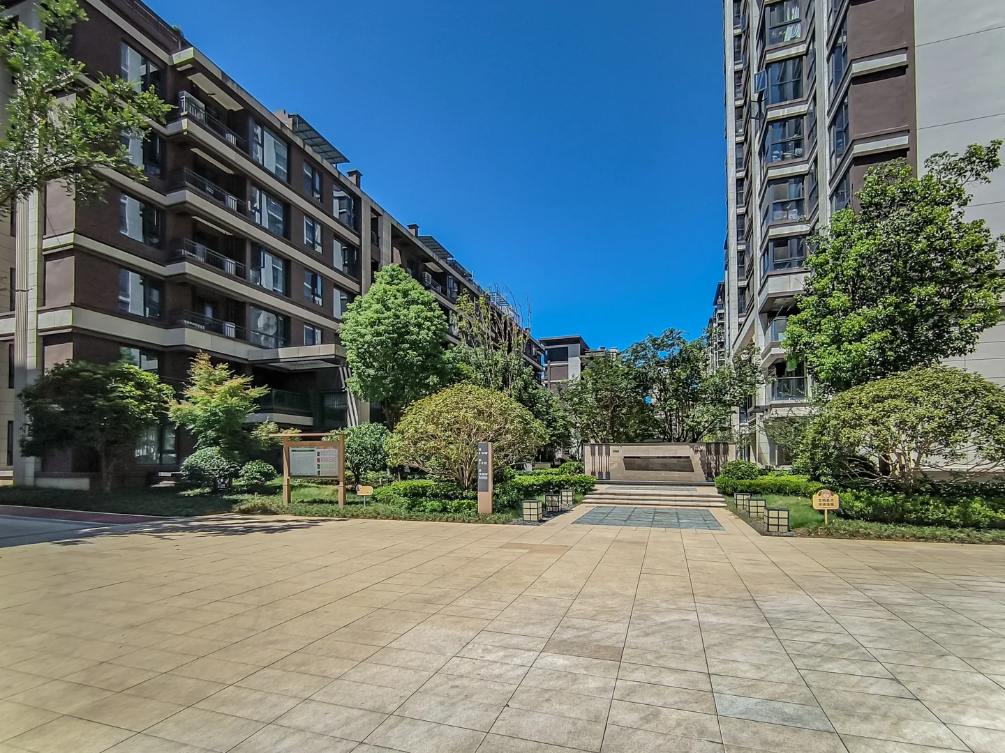 Star Future  - Photo 2