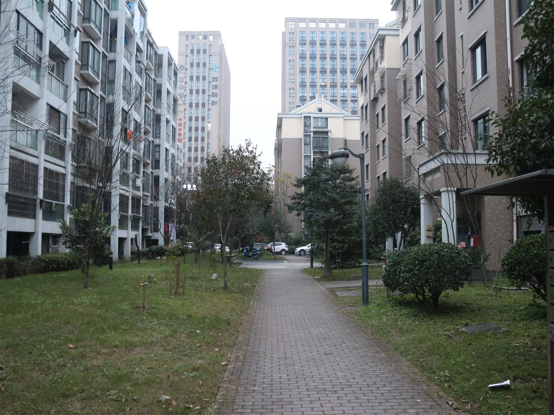 Harmony Garden - Photo 9