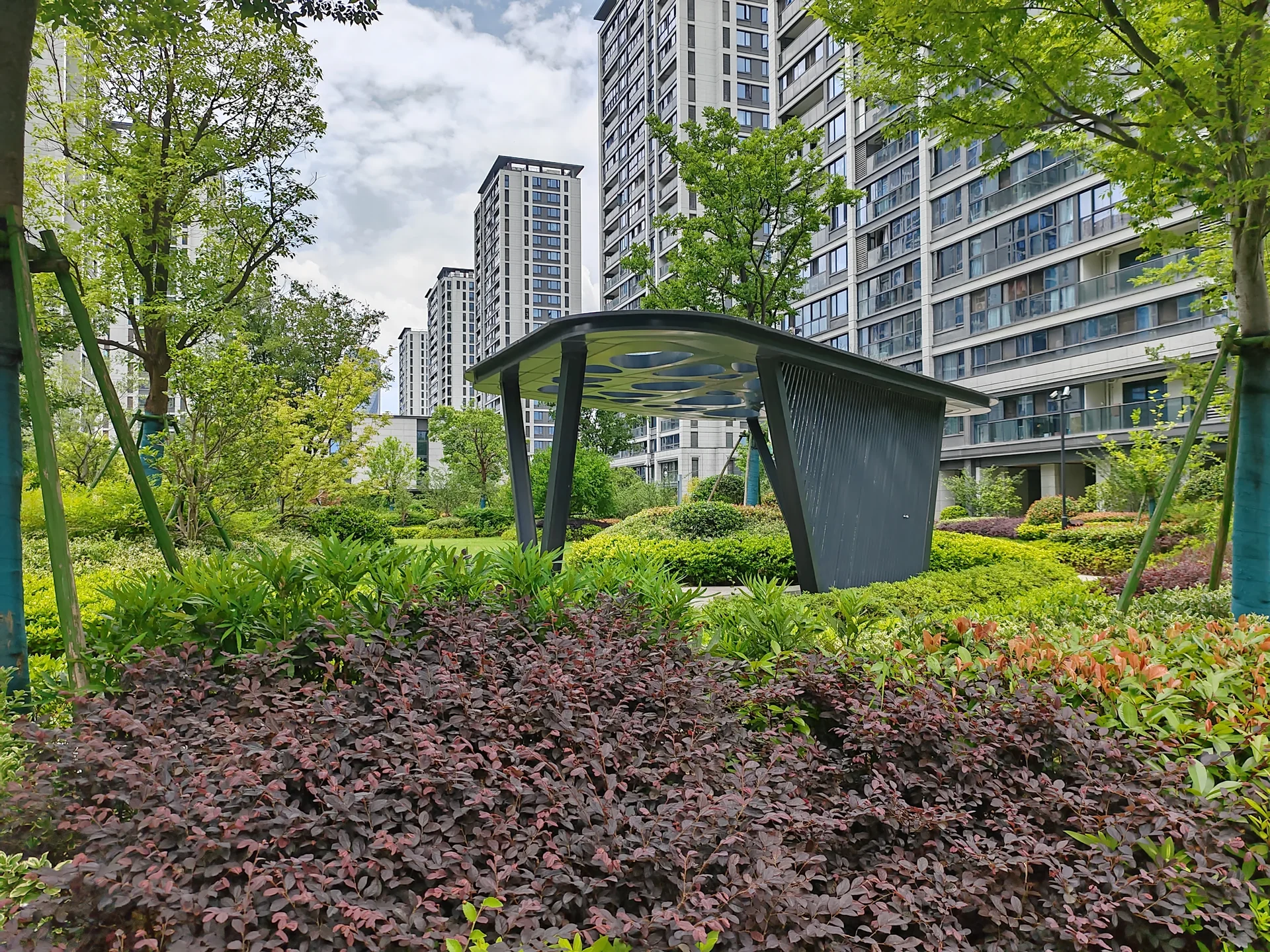 Thrive Manor - Photo 10