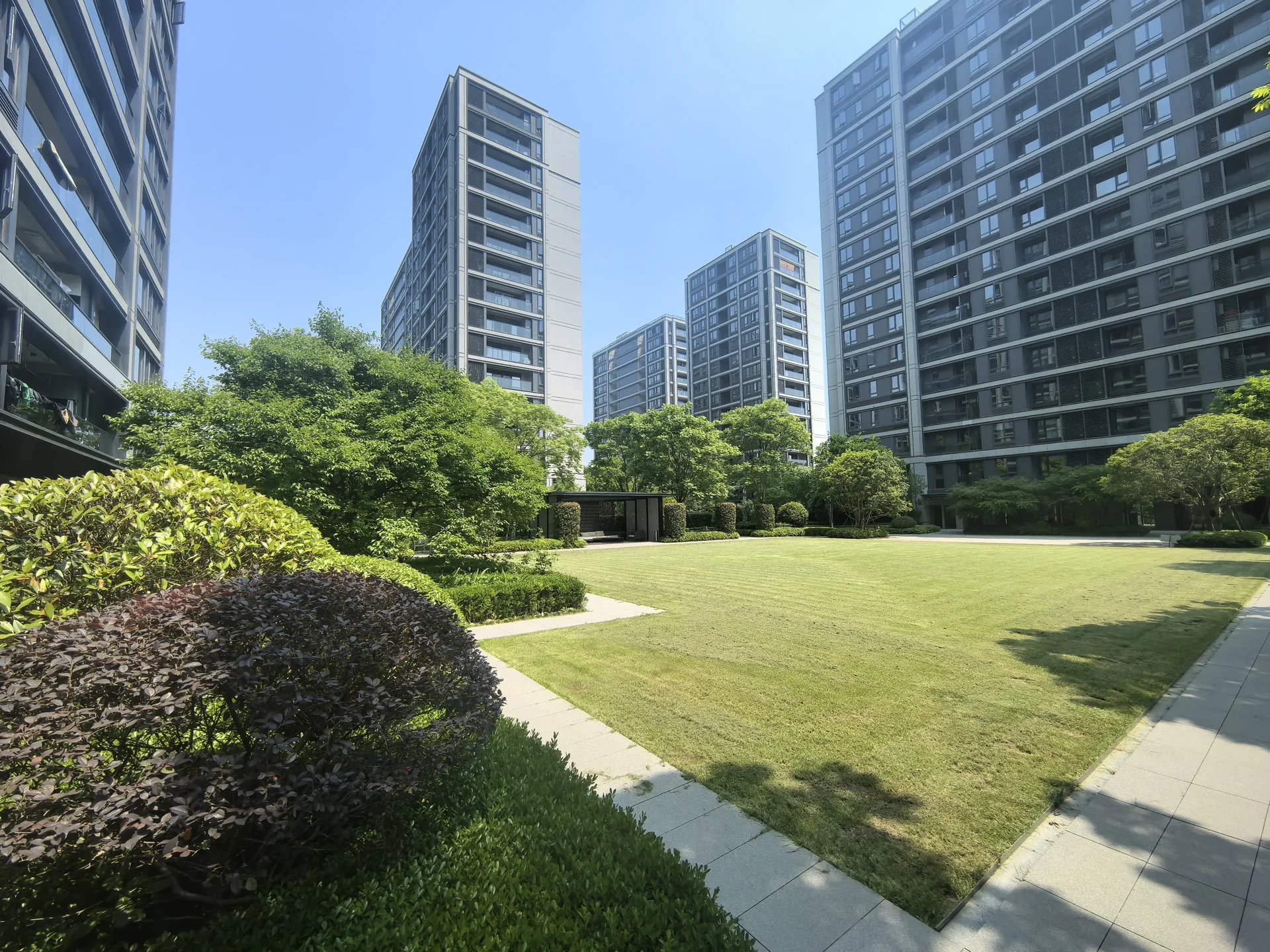 Orient Spring - Photo 3