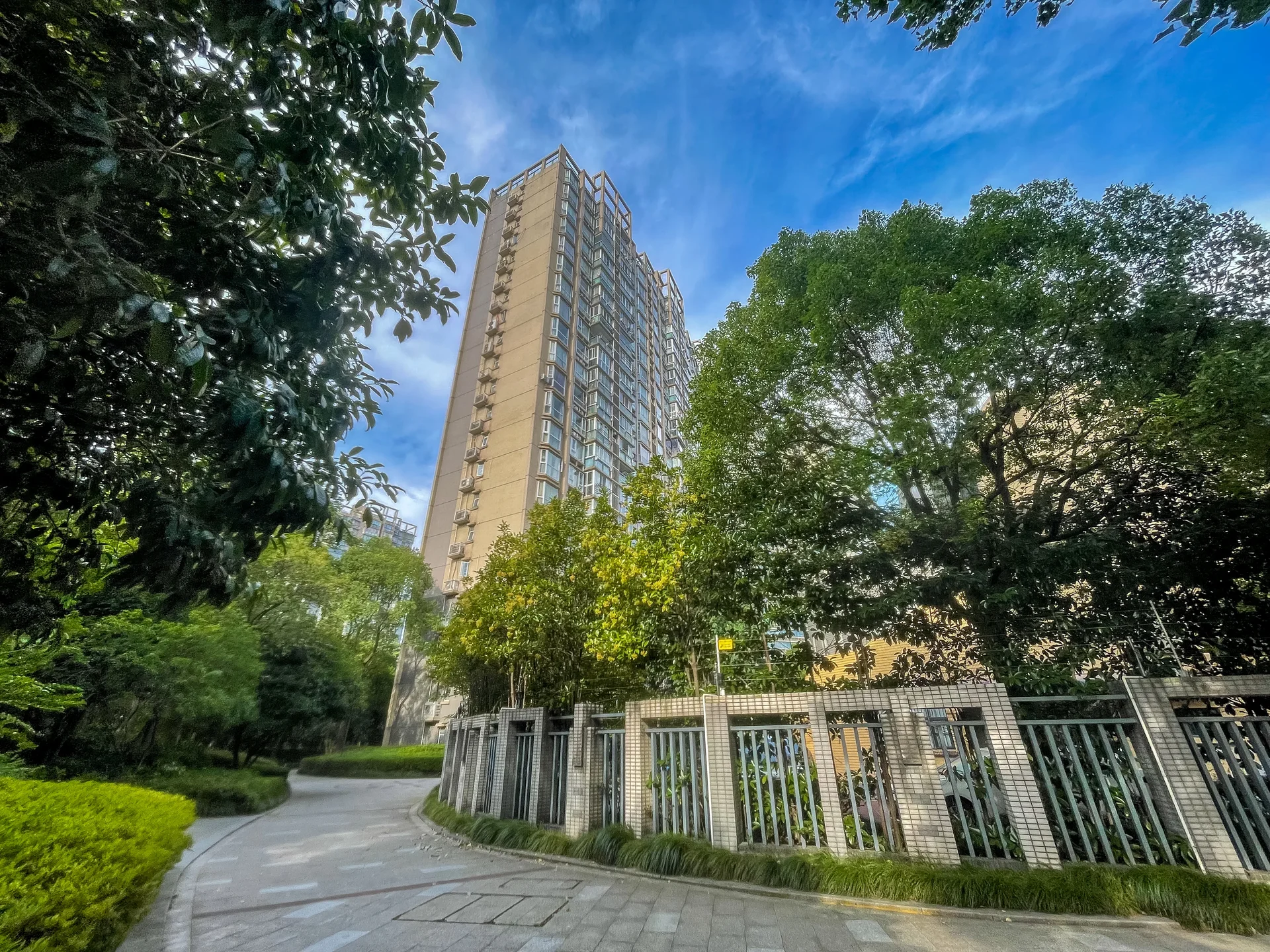 Modern  Garden - Photo 5