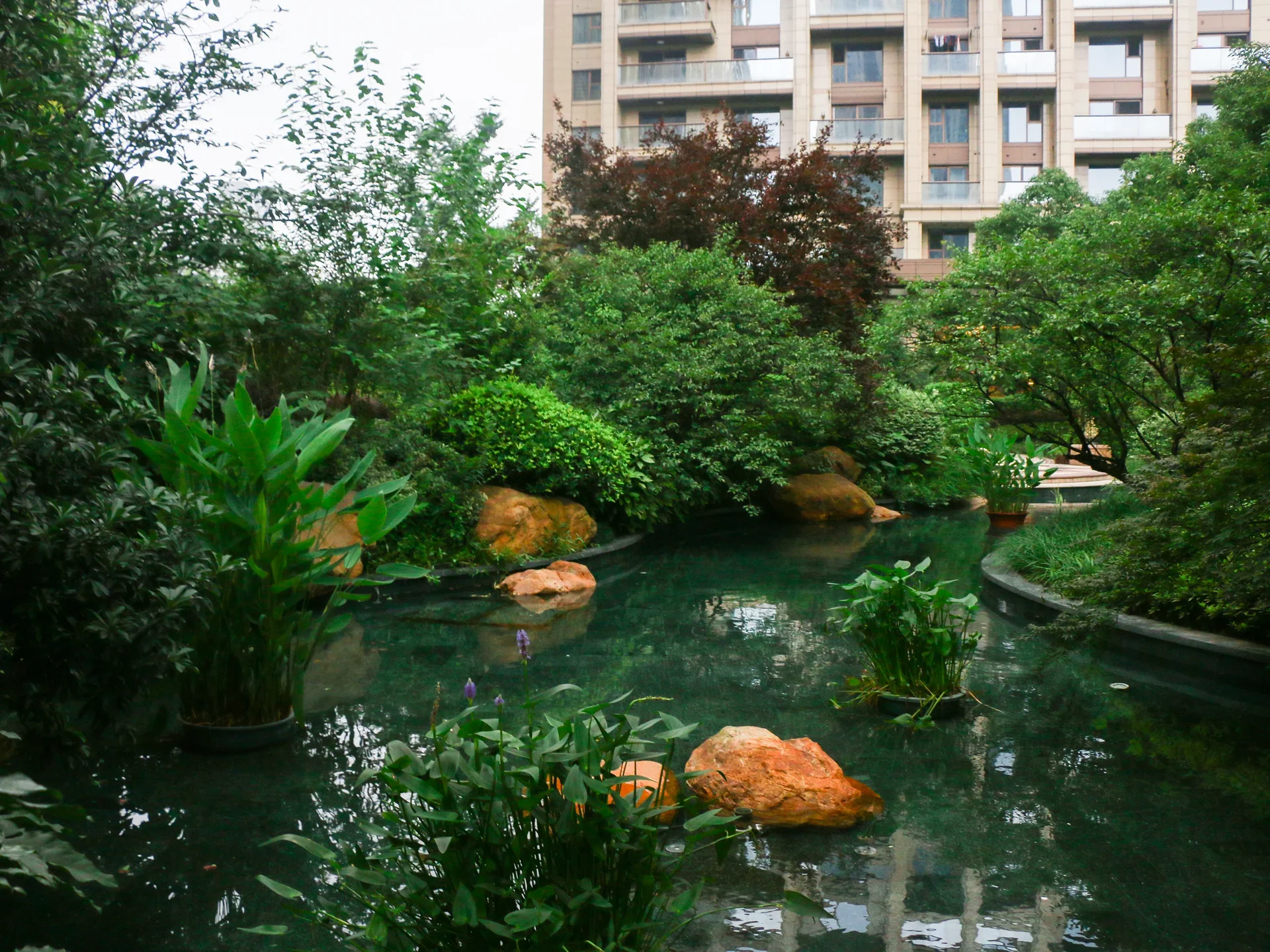 The City Star - Photo 29