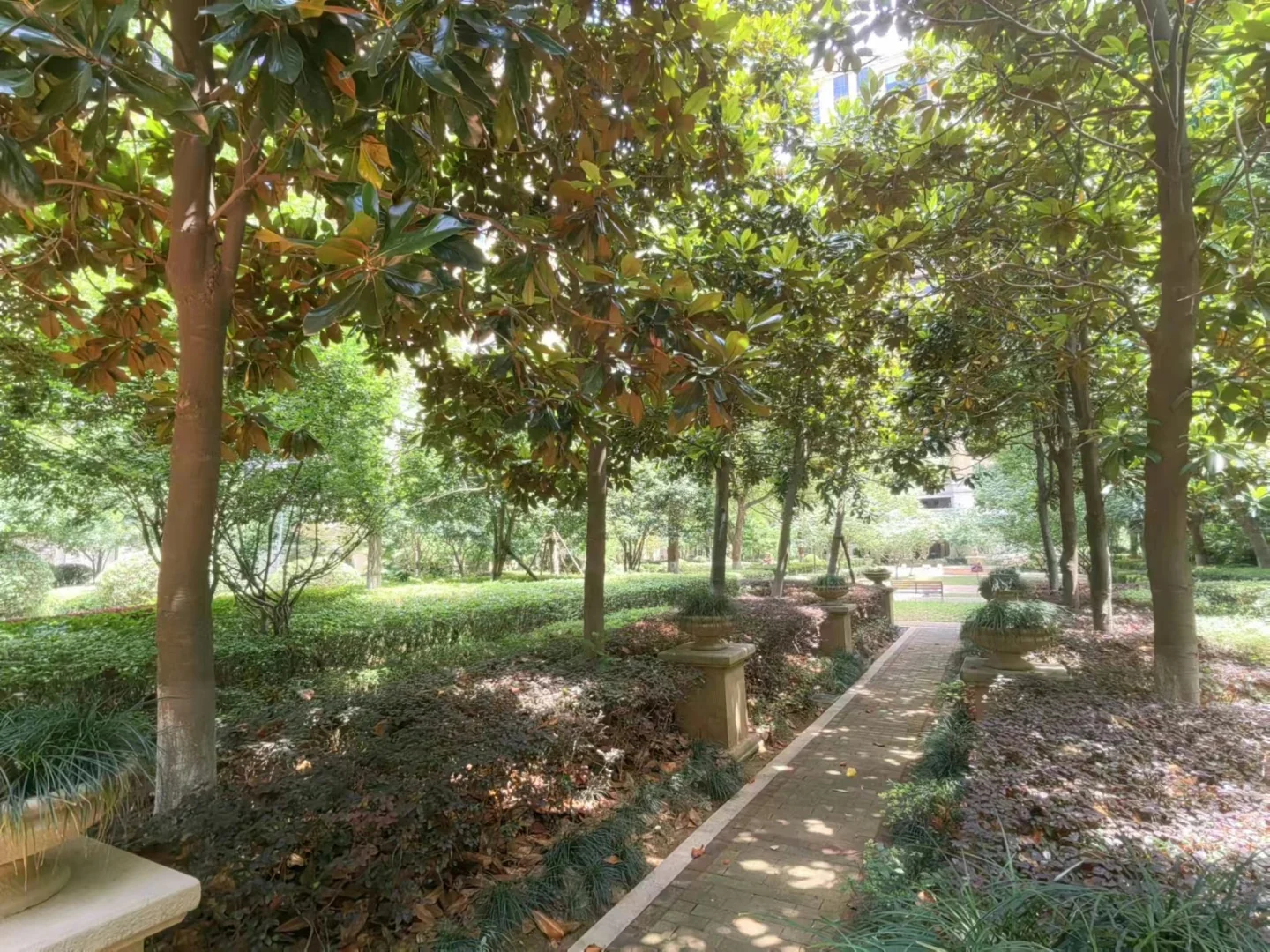 Harbor Joy Mansion - Photo 14