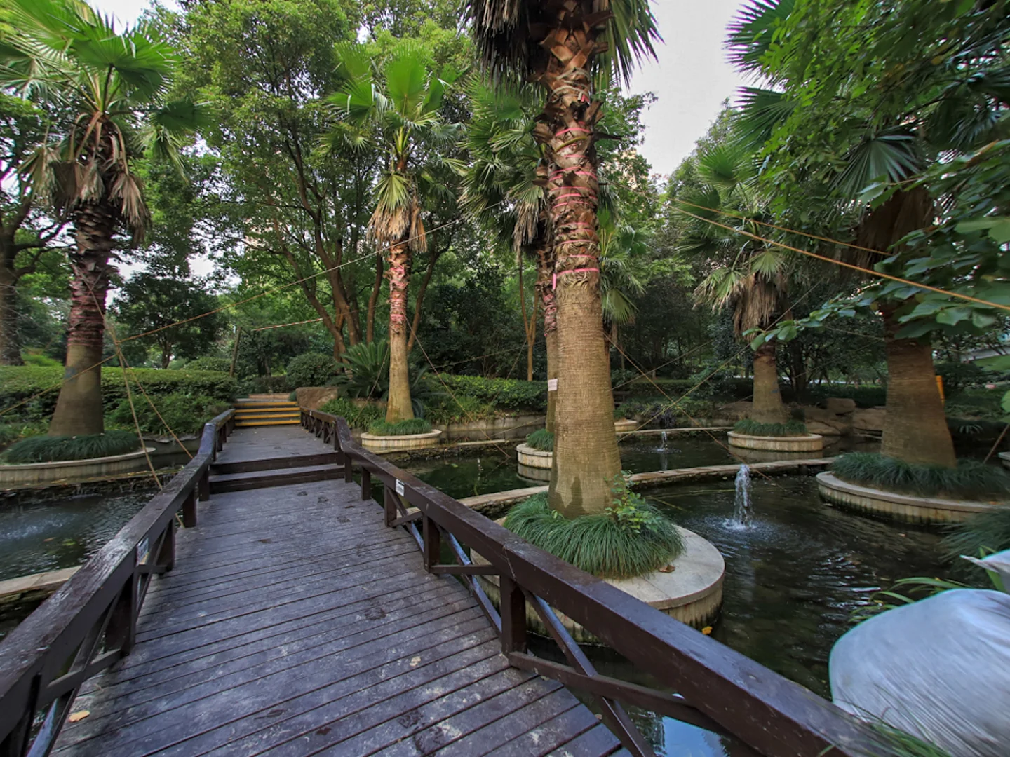 Wisdom World - Photo 10